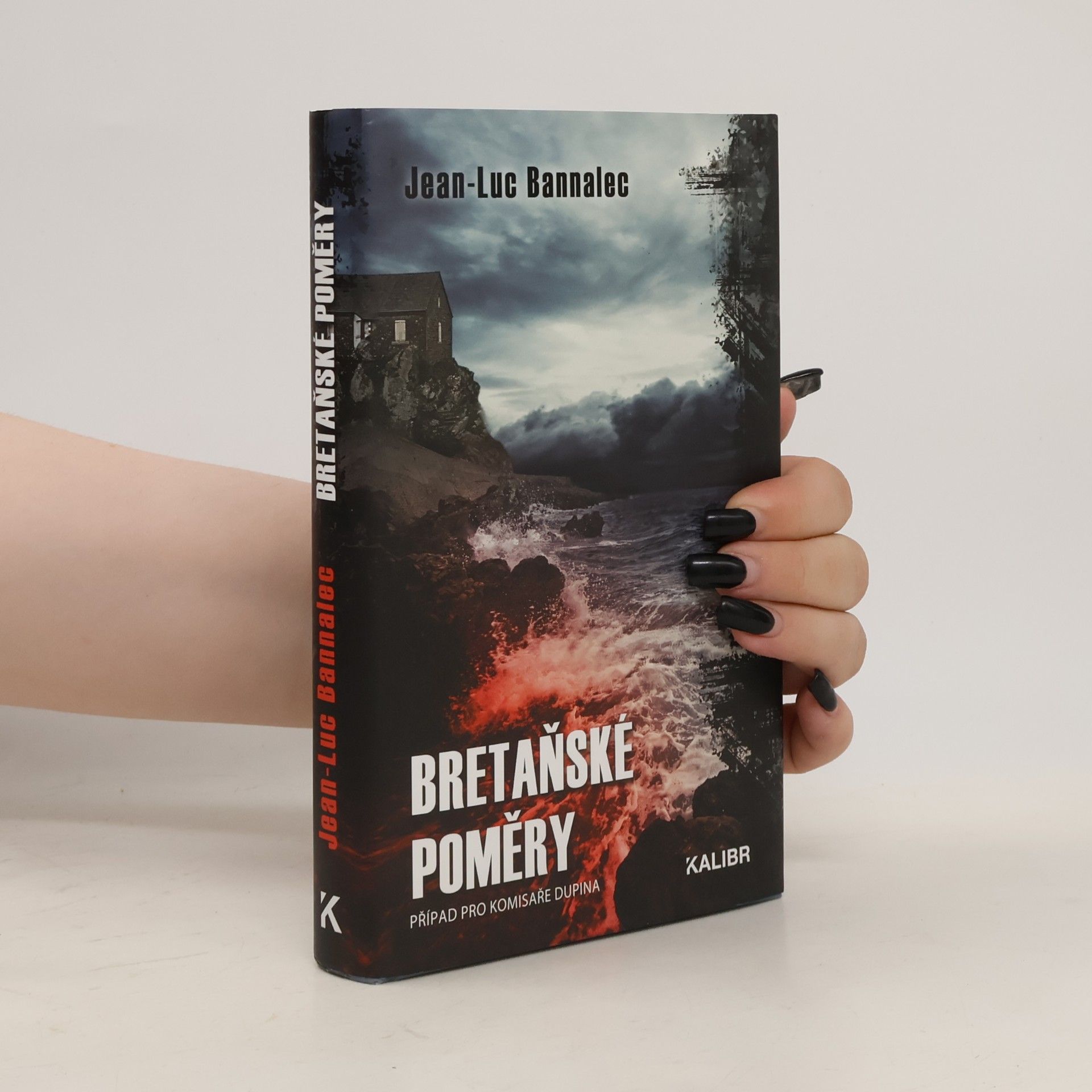 Jean-Luc Bannalec Bretaňské poměry: případ pro komisaře Dupina