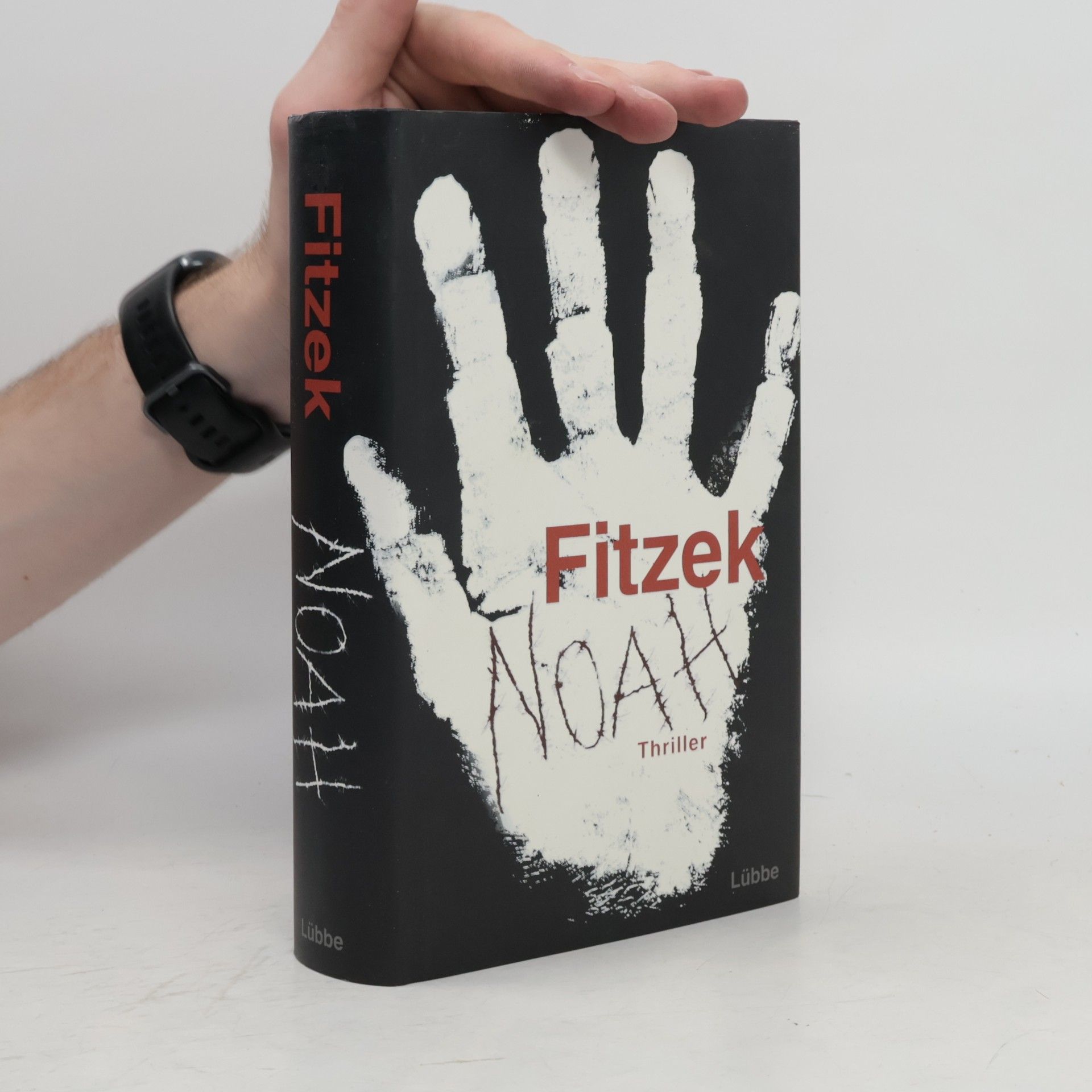 Sebastian Fitzek Noah