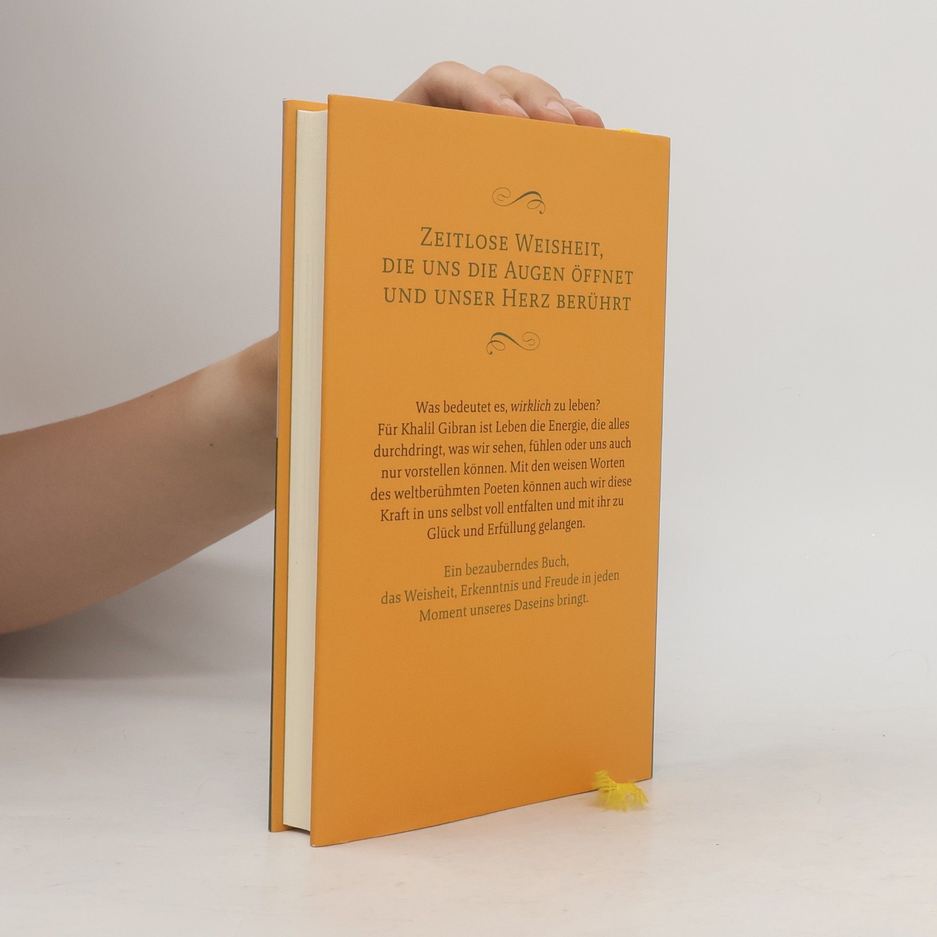 H̱alīl Ǧibrān Khalil Gibrans kleines Buch vom guten Leben