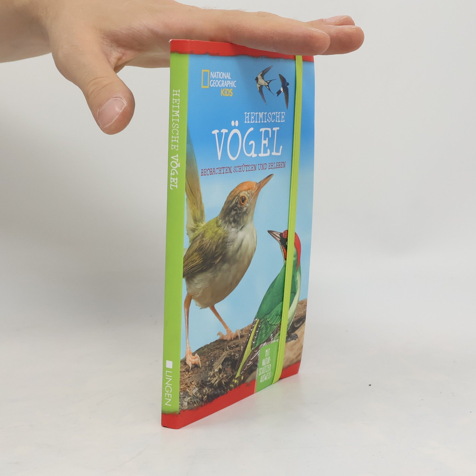 Holger Vornholt National Geographic Kids. Heimische Vögel