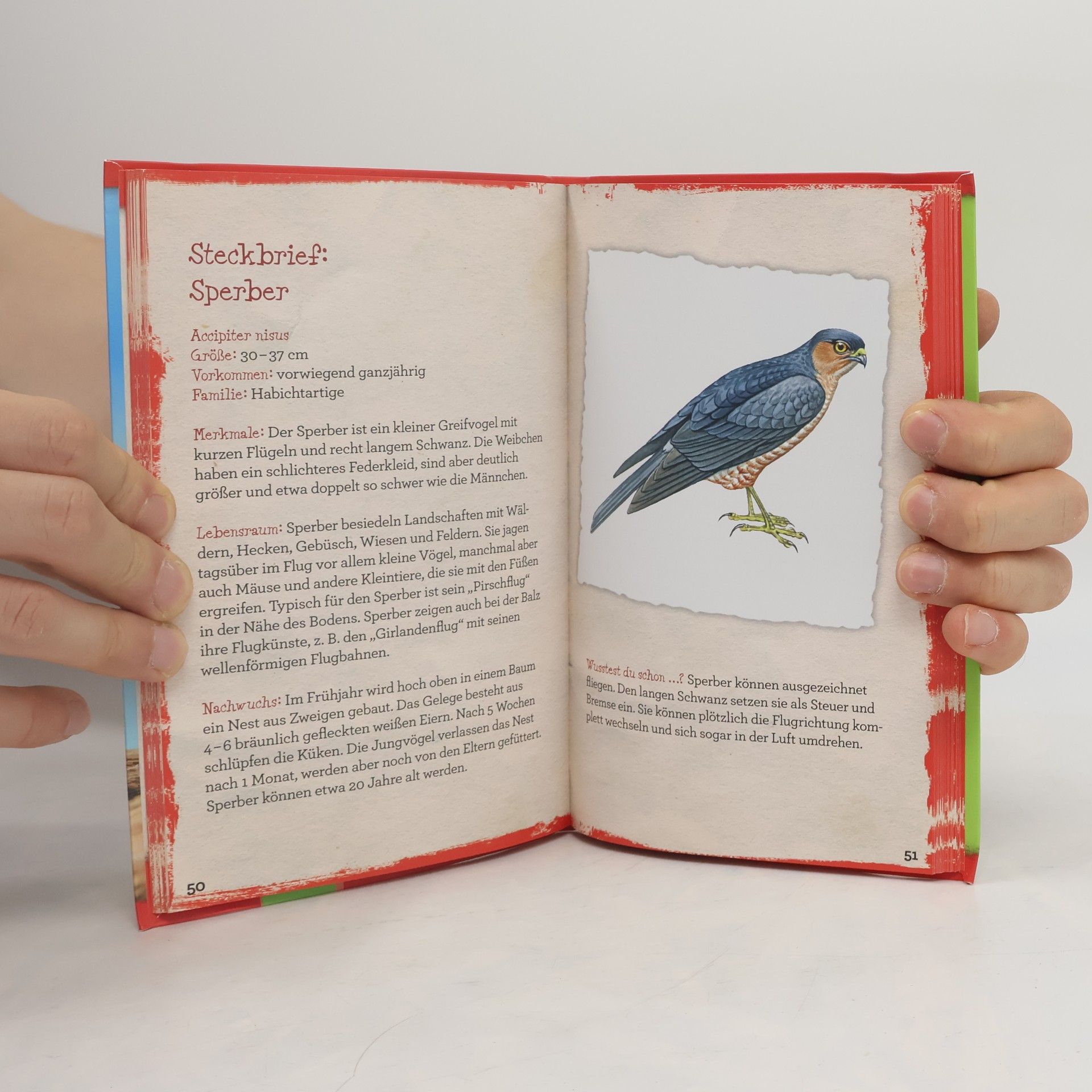 Holger Vornholt National Geographic Kids. Heimische Vögel