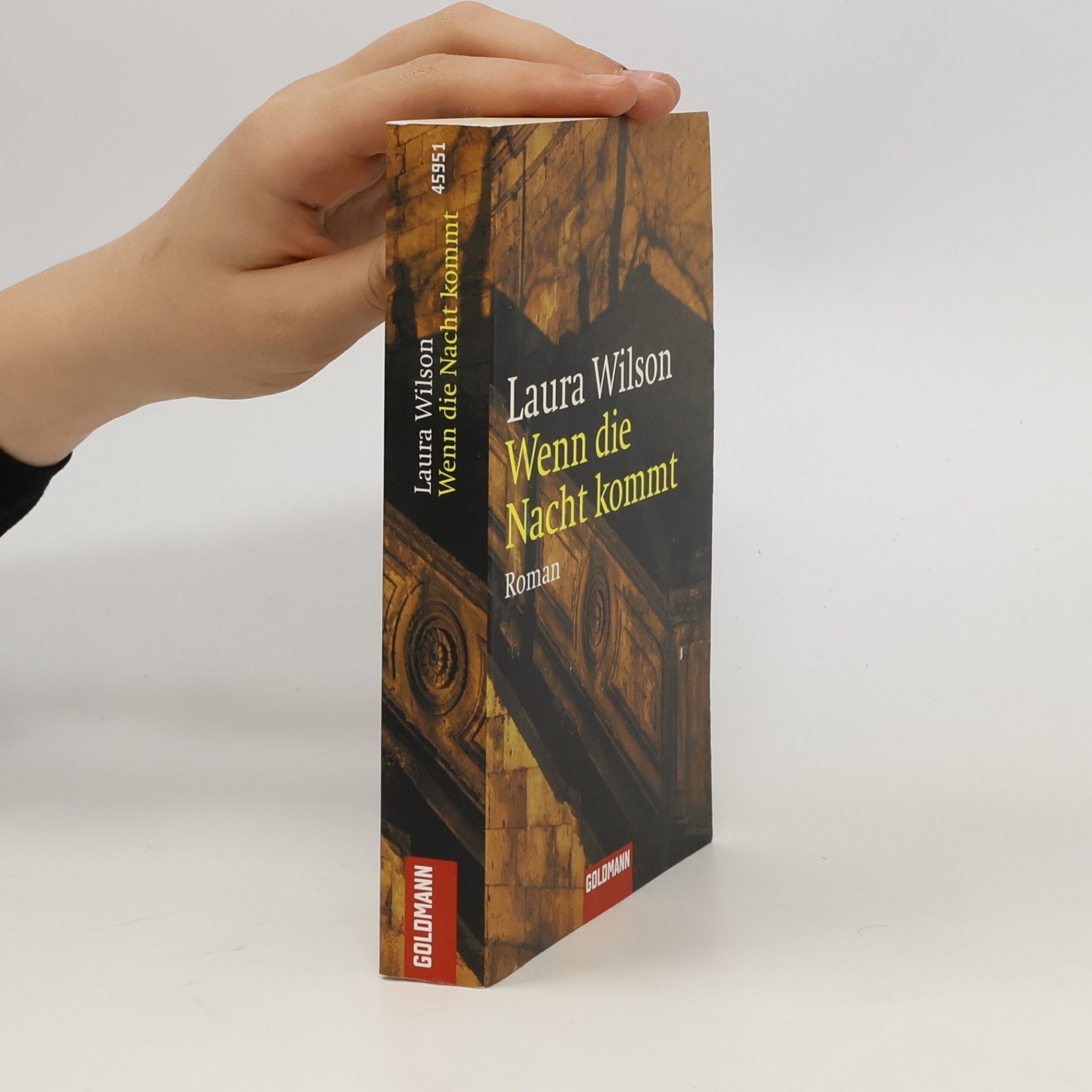 Laura Wilson Wenn die Nacht kommt