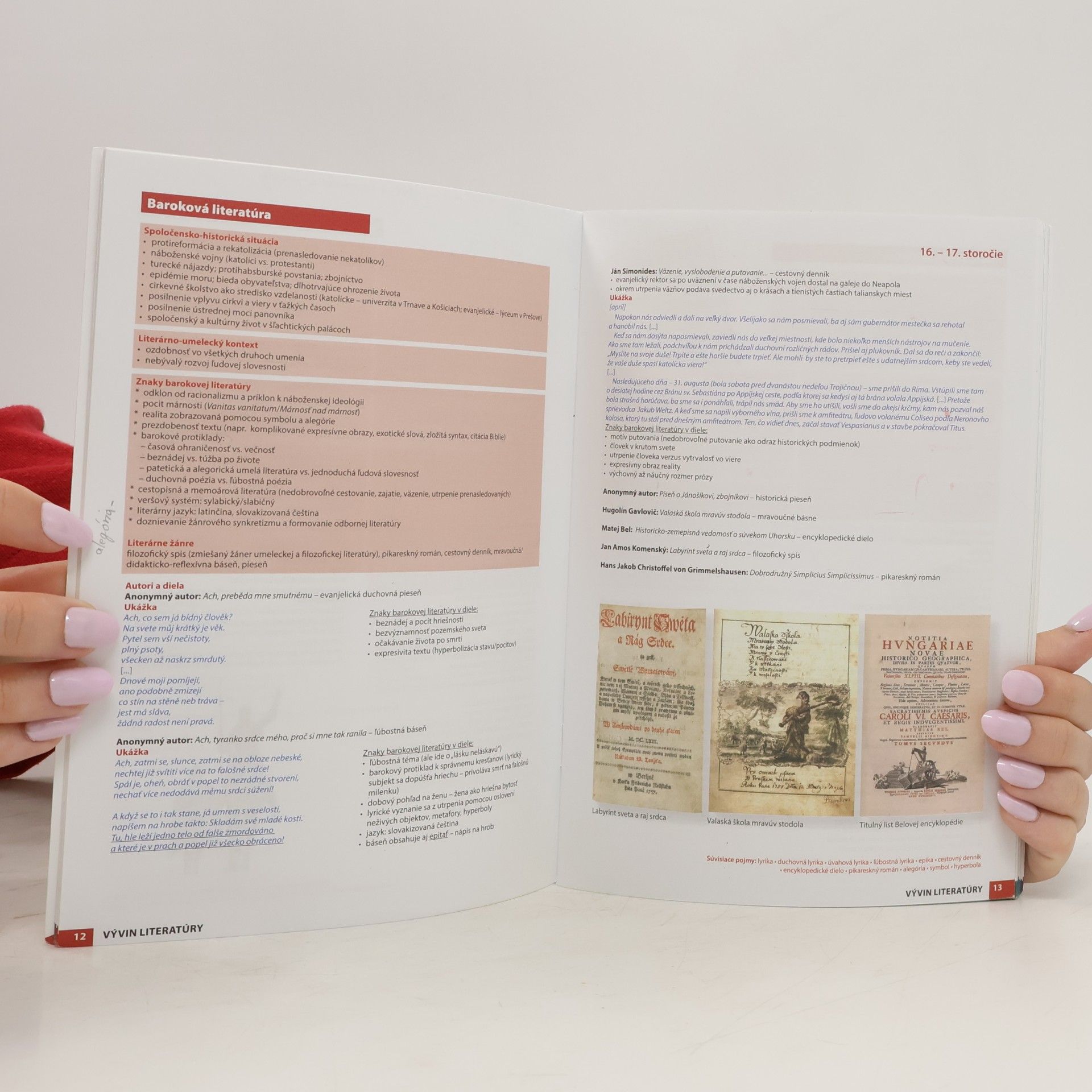 Milada Caltíková Literatúra. Ľahká cesta k maturite