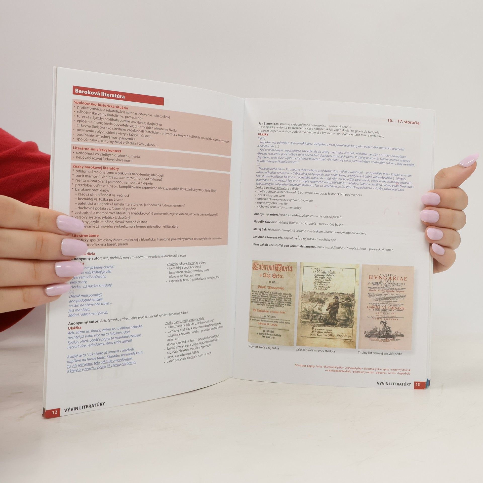 Milada Caltíková Literatúra. Ľahká cesta k maturite