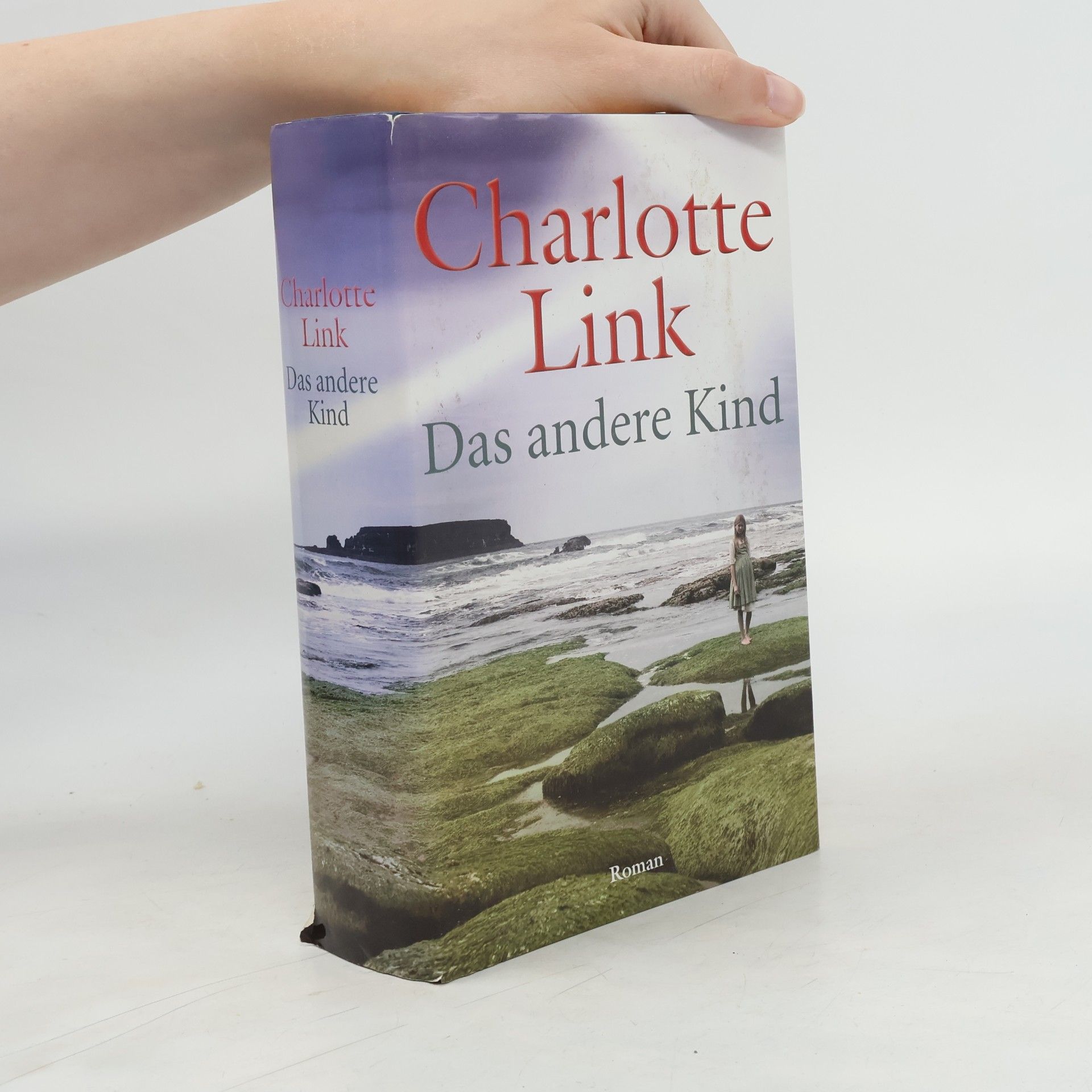 Charlotte Link Das andere Kind