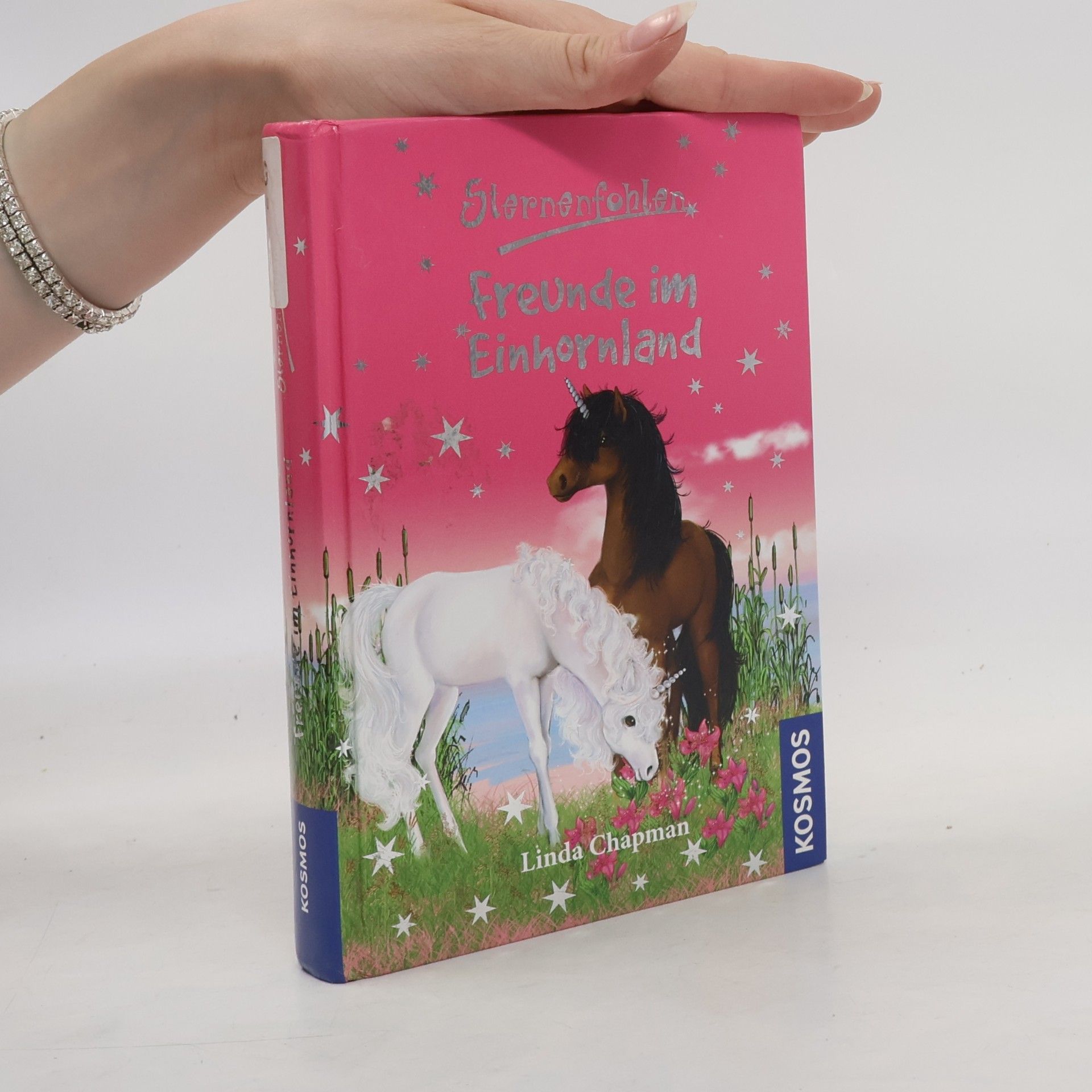 Linda Chapman Sternenfohlen - Freunde im Einhornland
