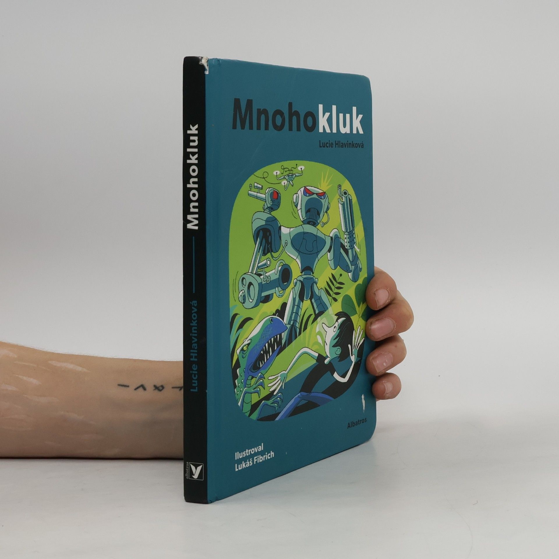 Lucie Hlavinková Mnohokluk