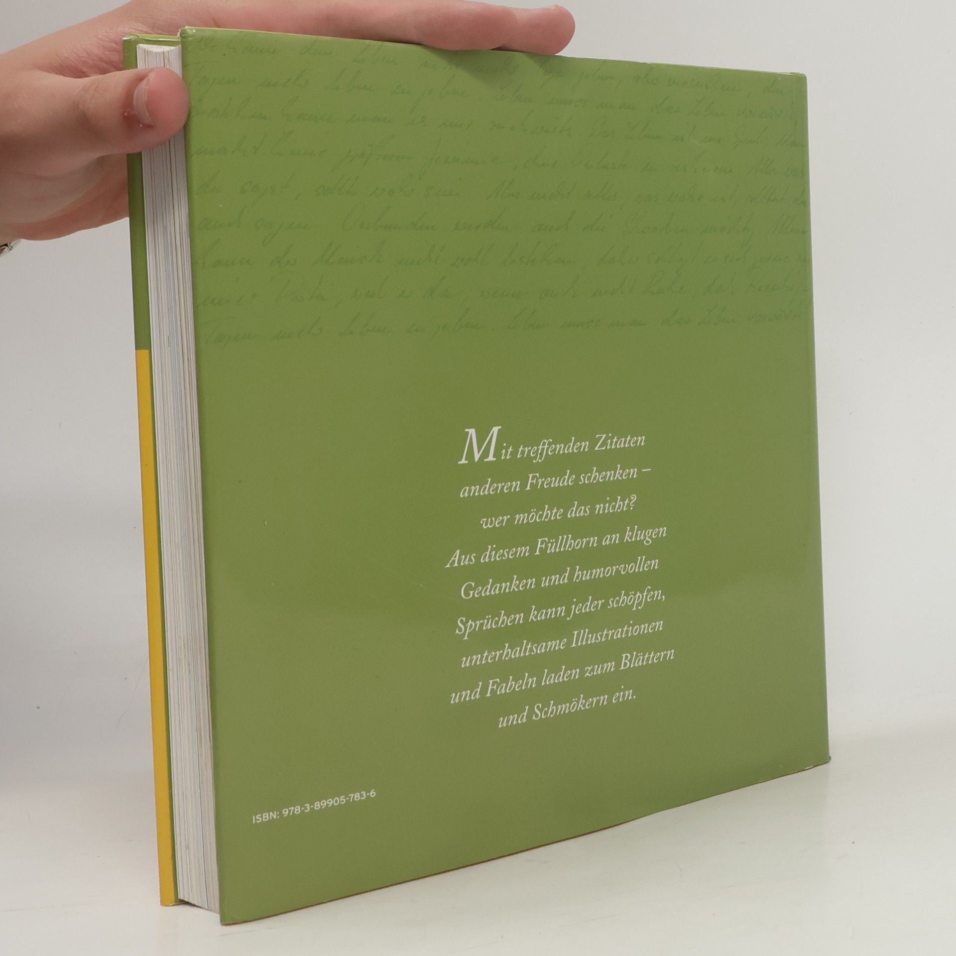 Iris Seidenstricker Das große Buch der Lebensweisheiten