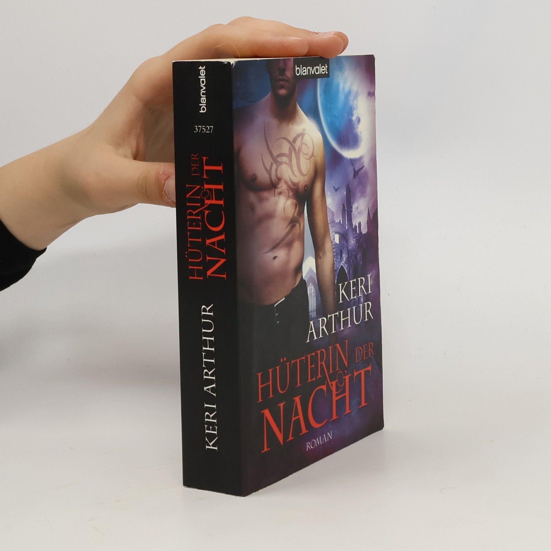 Keri Arthur Hüterin der Nacht. Roman
