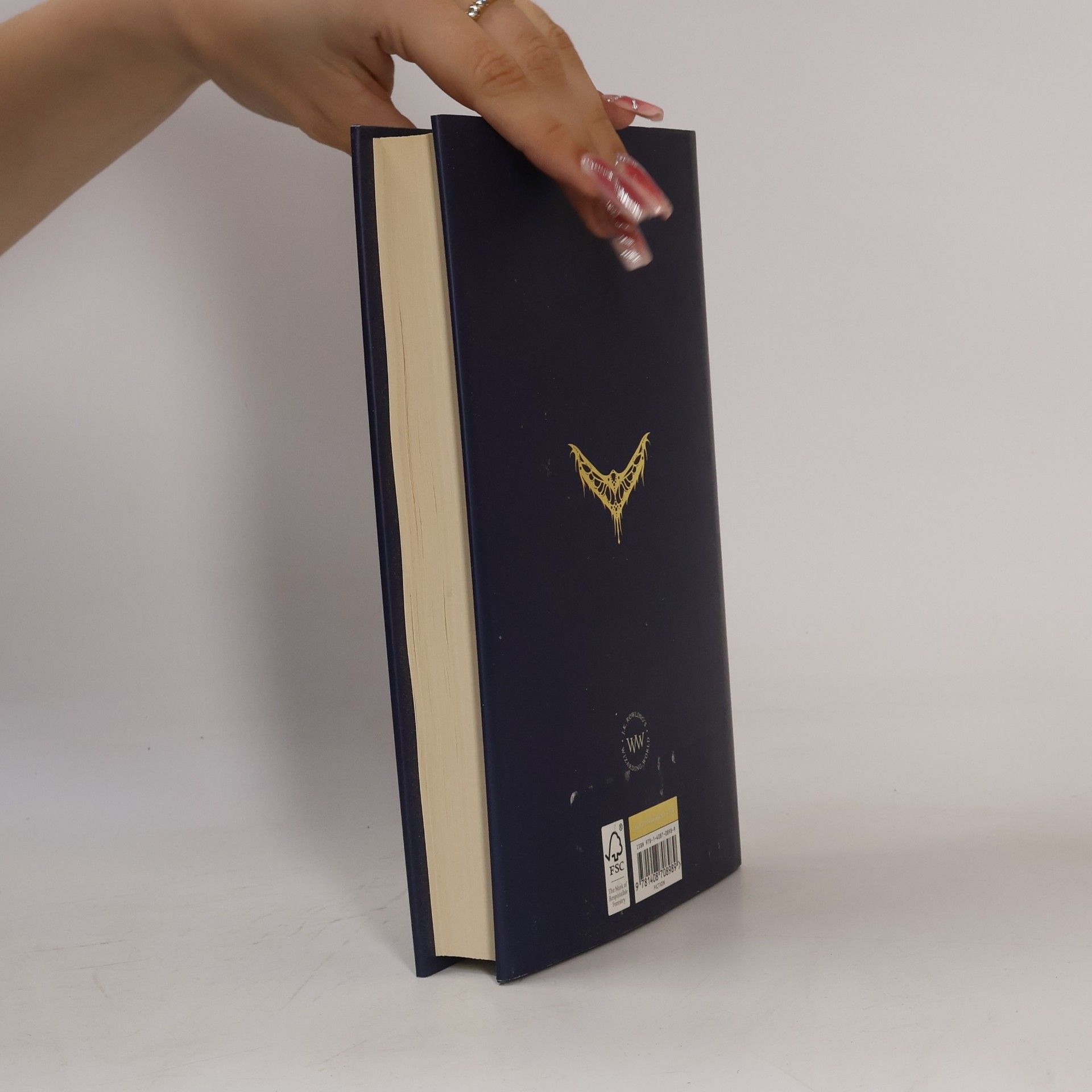 Joanne K. Rowling Fantastic Beasts And Where to Find Them