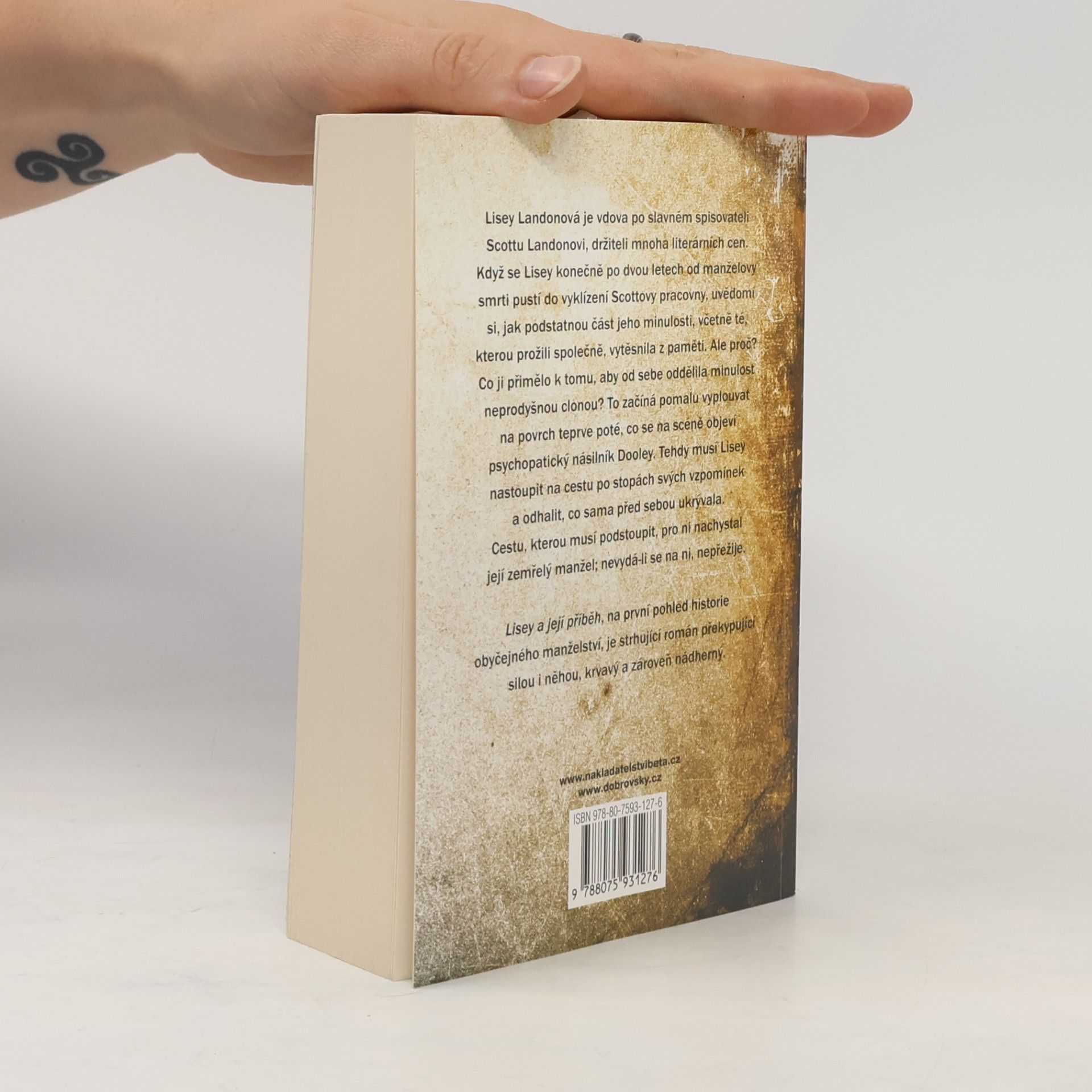 Stephen King Lisey a její příběh