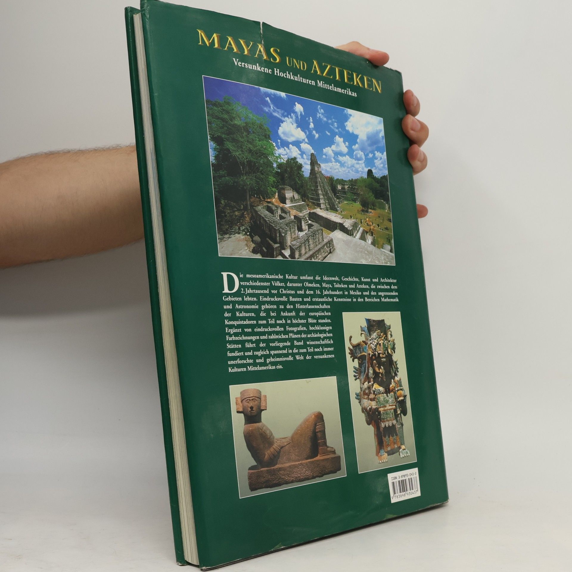 Maria Longhena Mayas und Azteken