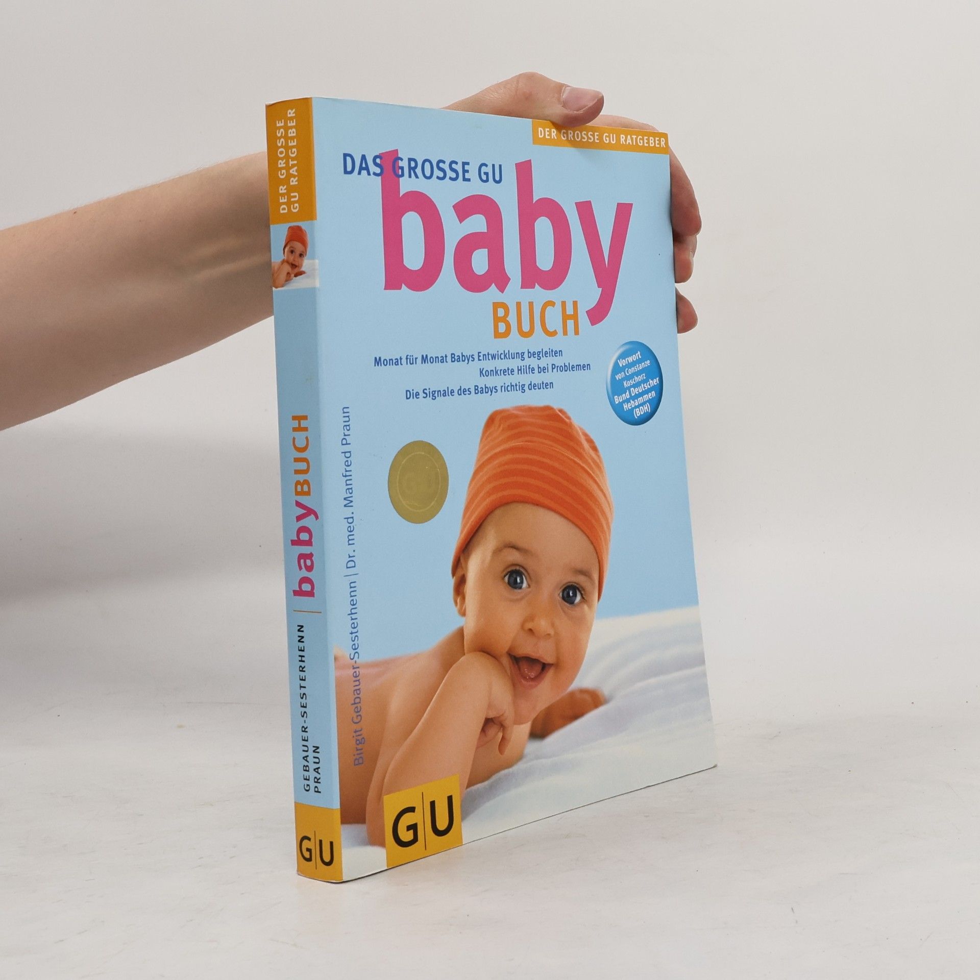 Kolektiv autorů Das grosse GU Babybuch