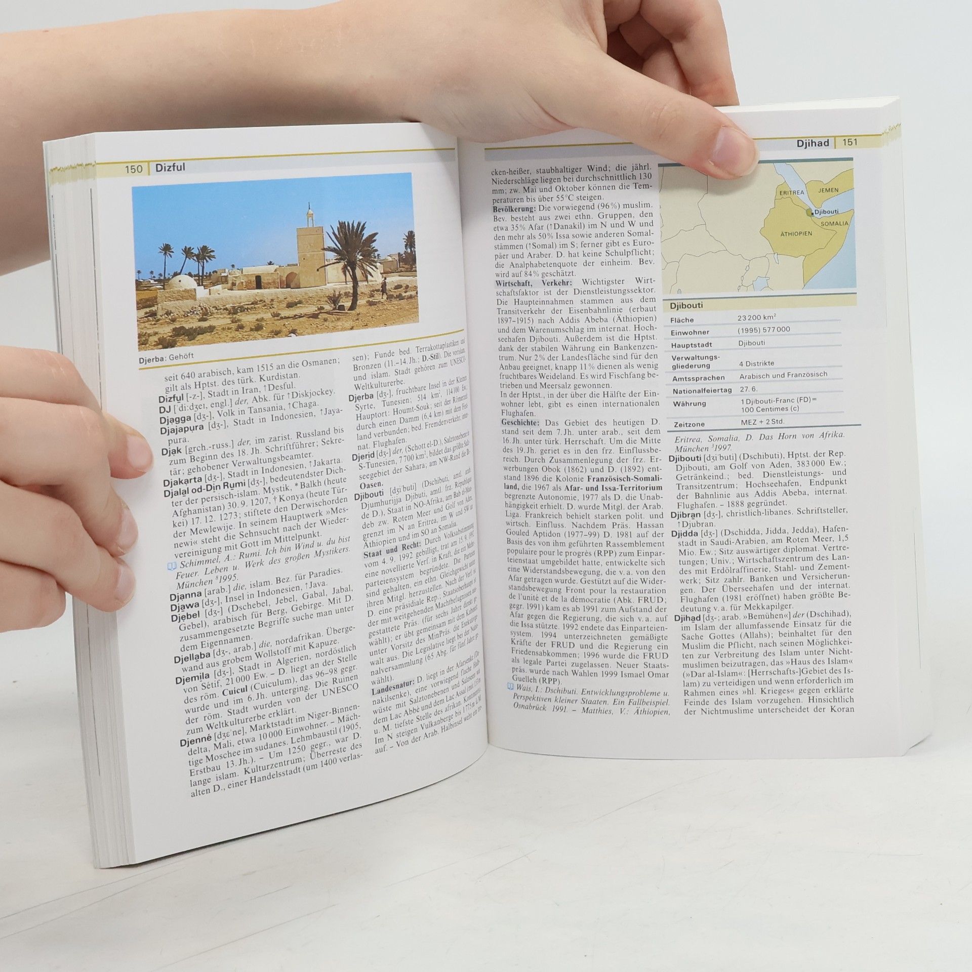 Autorenkollektiv Meyers grosses Tachenlexikon : in 25 Bänden. Bd. 5, <<Des >>- Ekk