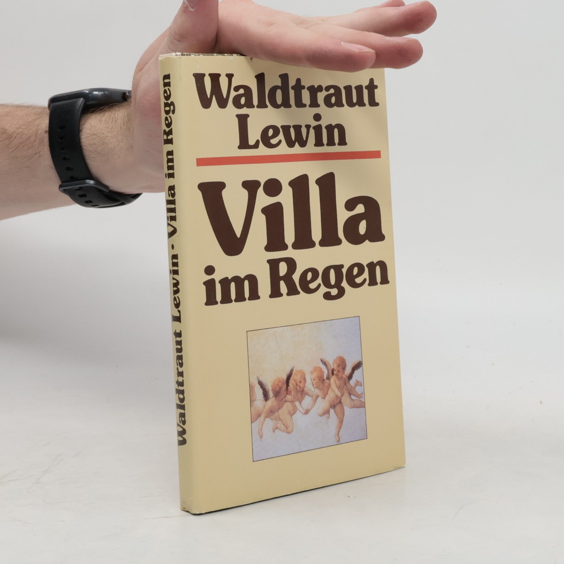 Waldtraut Lewin Villa im Regen