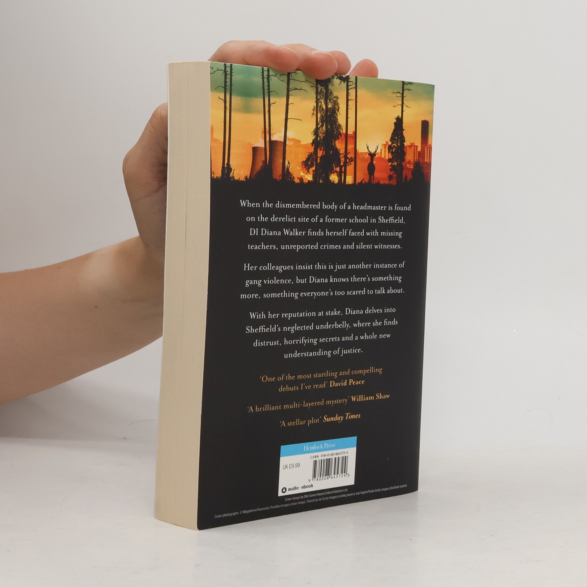 Nina Bhadreshwar Diana Walker: The Day of the Roaring