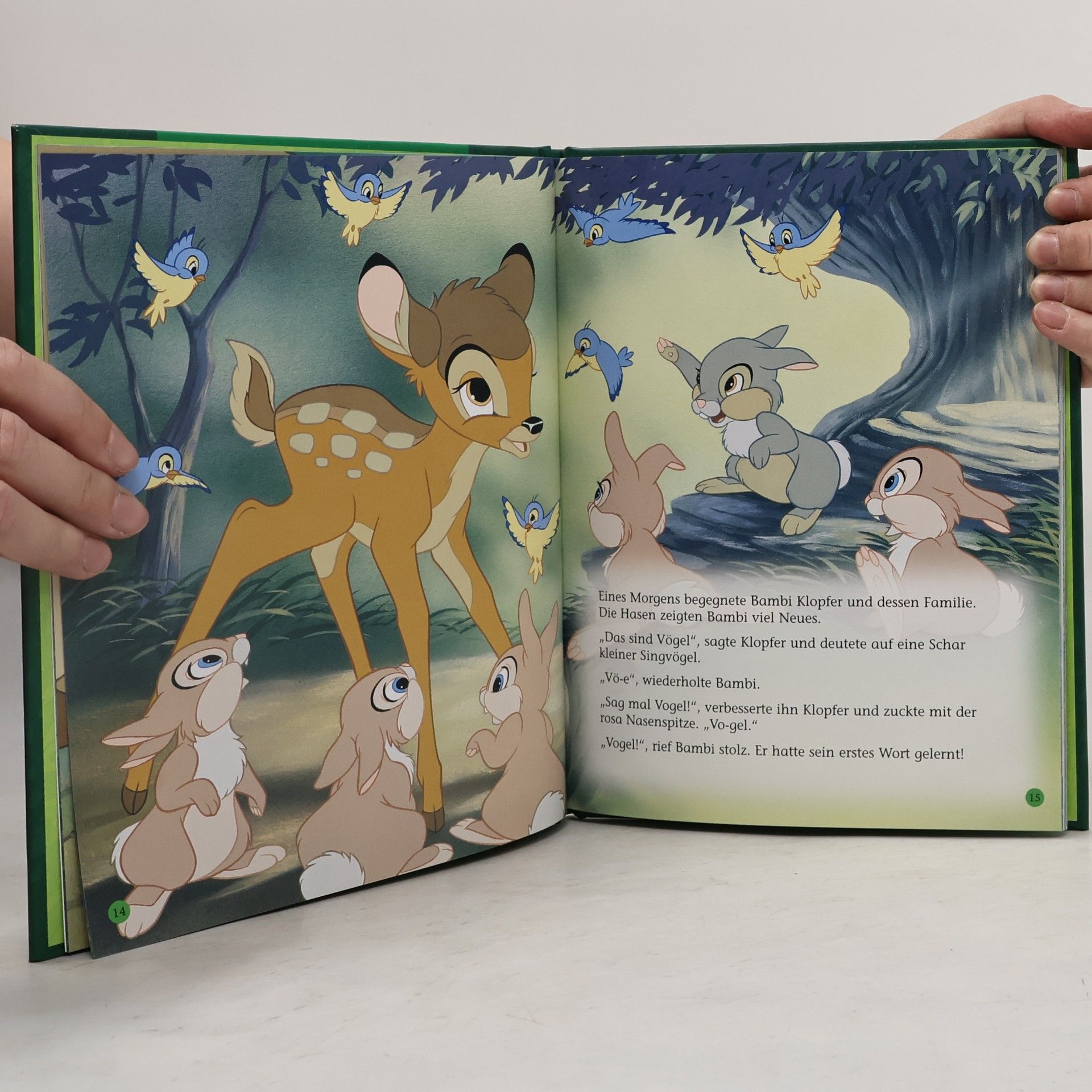 Autorenkollektiv Bambi