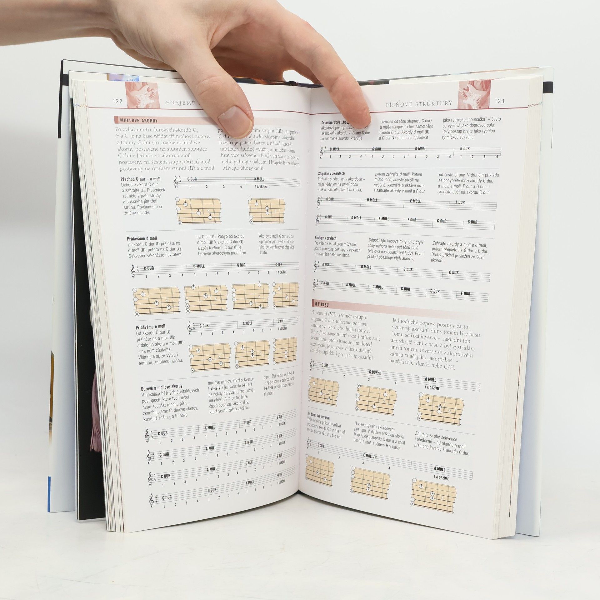 Autores varios Kytary - Velký ilustrovaný průvodce