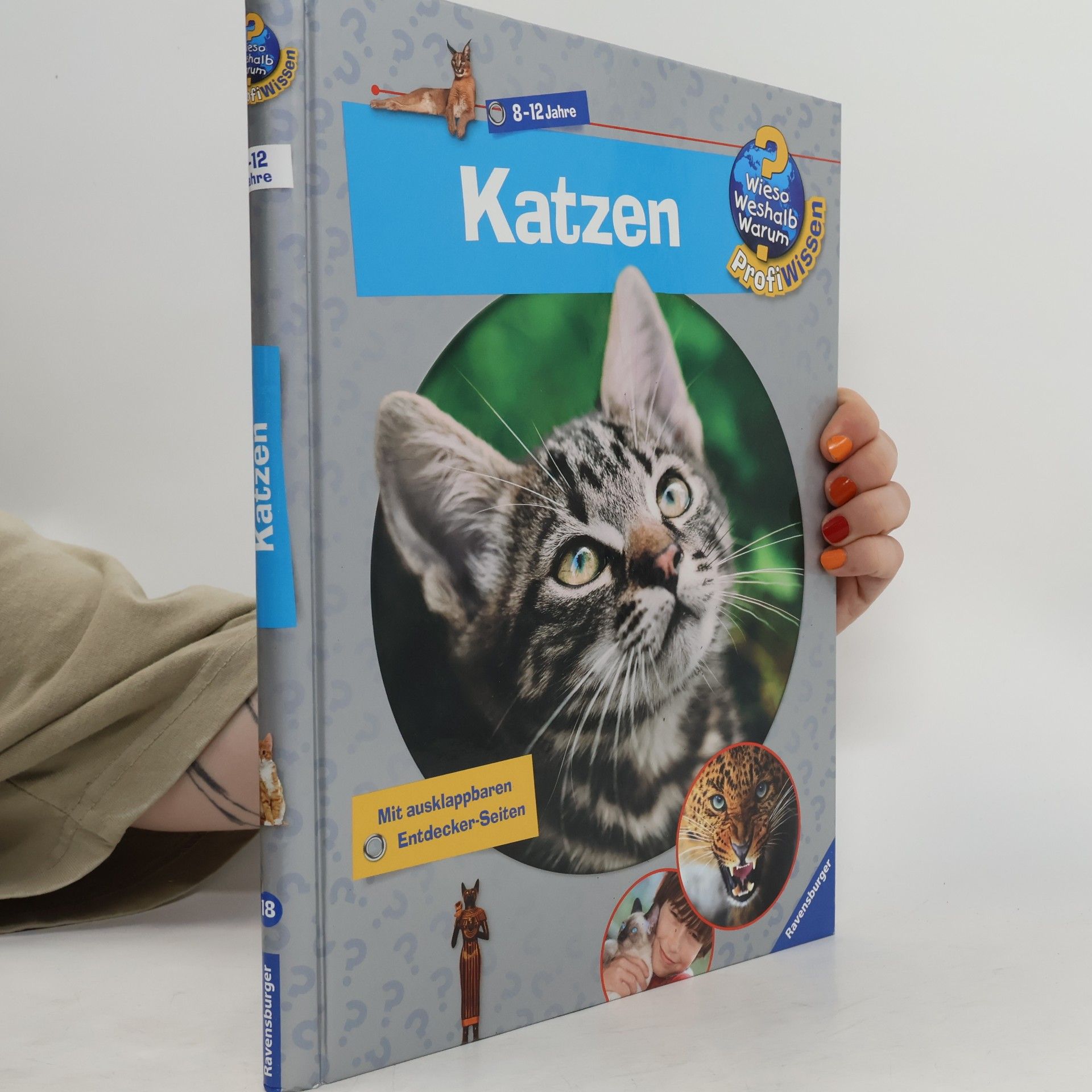 Andrea Schwendemann Katzen