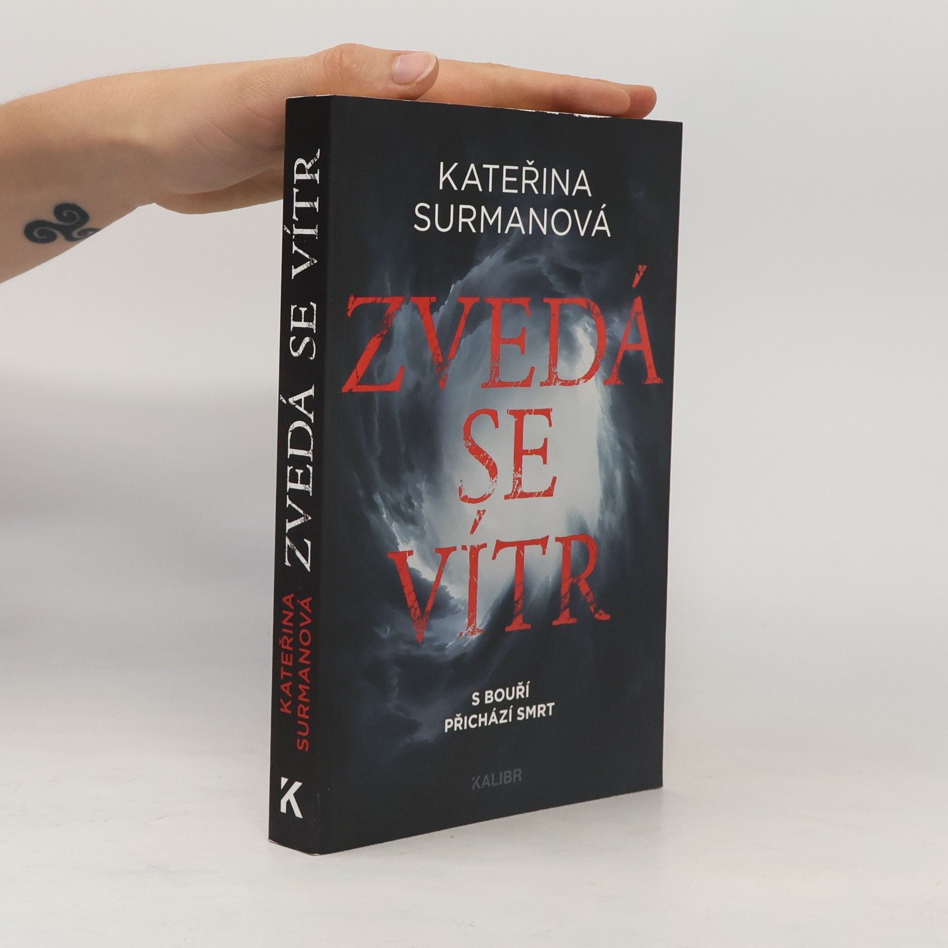 Kateřina Surmanová Zvedá se vítr