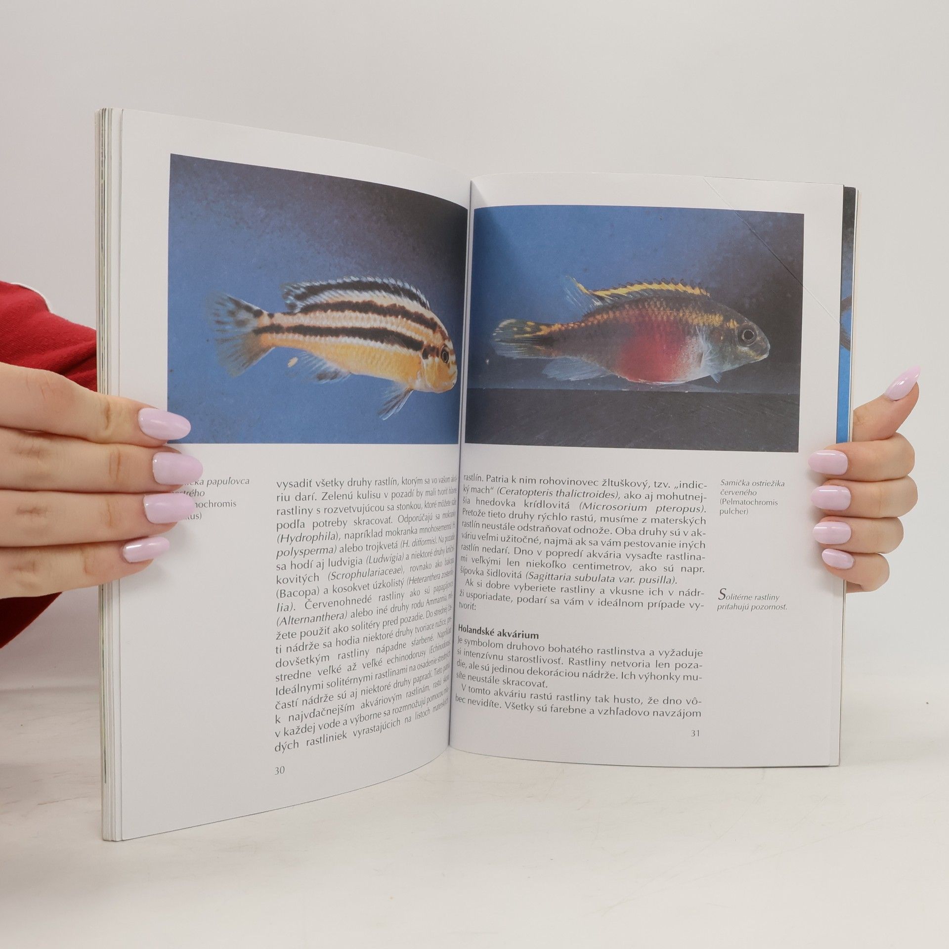 Autores varios Akváriové ryby