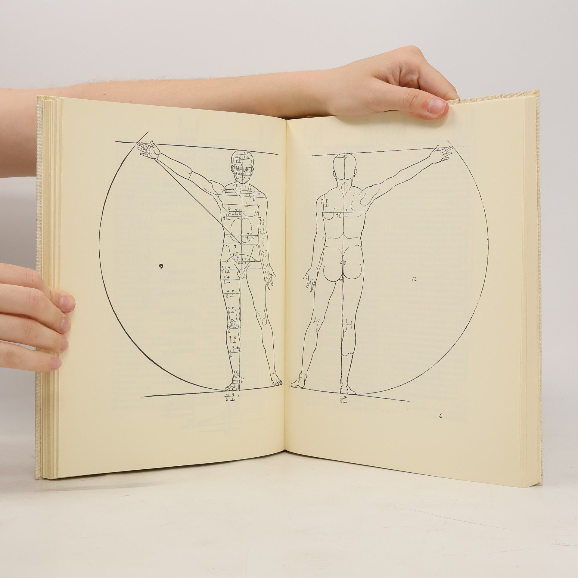 Albrecht Dürer Proportionslehre