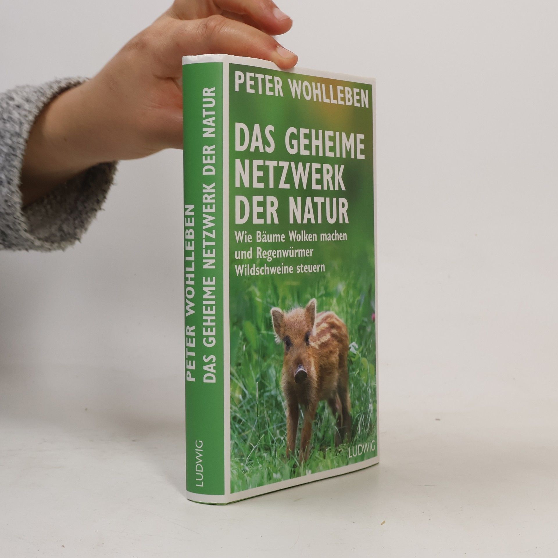 Das geheime Netzwerk der Natur
