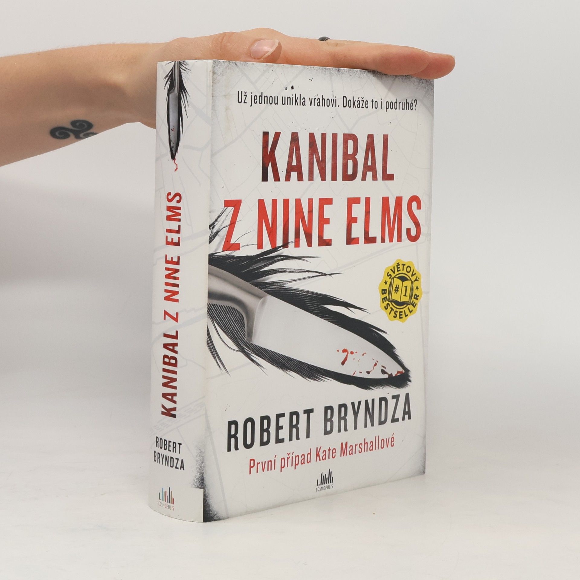 Robert Bryndza Kanibal z Nine Elms