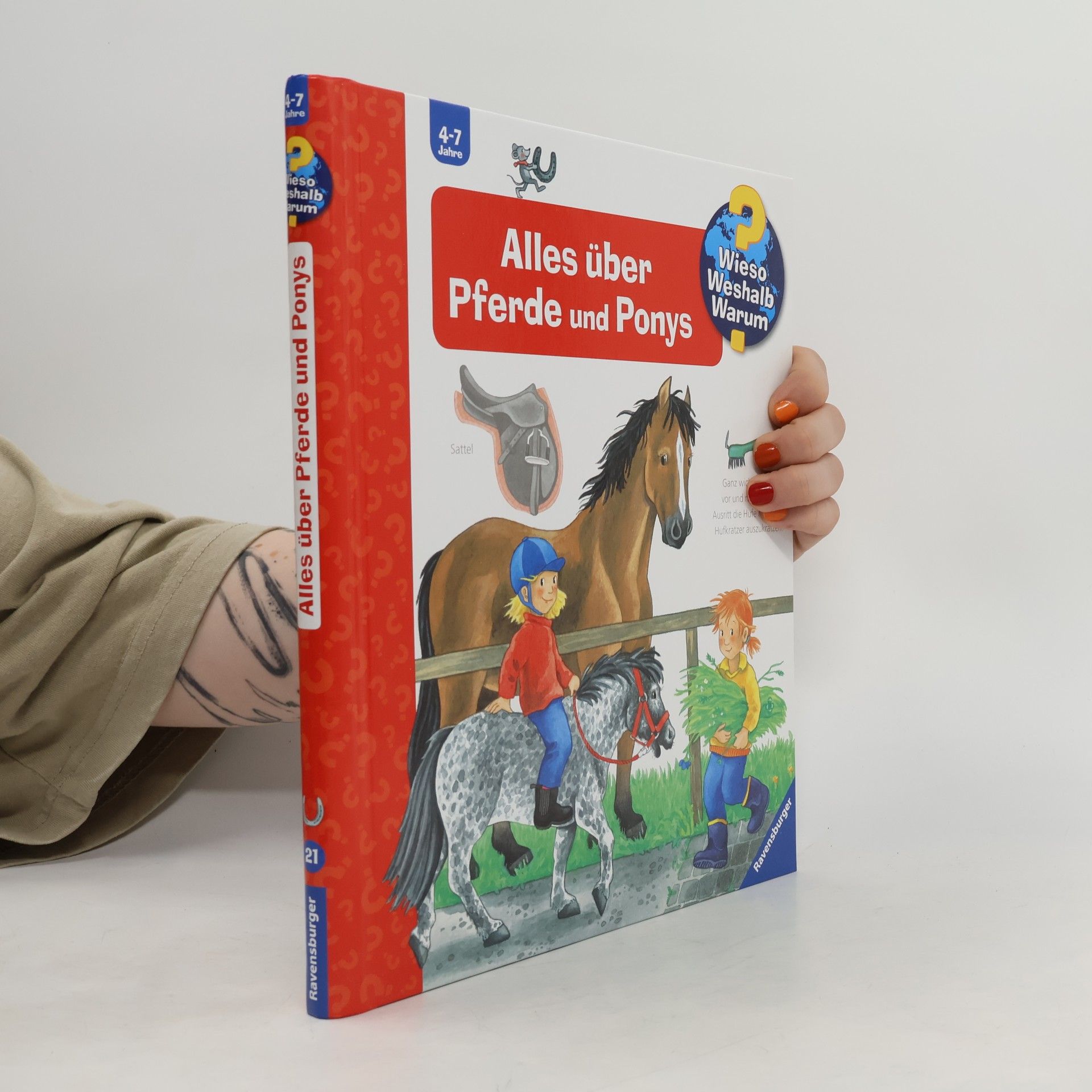 Andrea Erne Alles über Pferde und Ponys