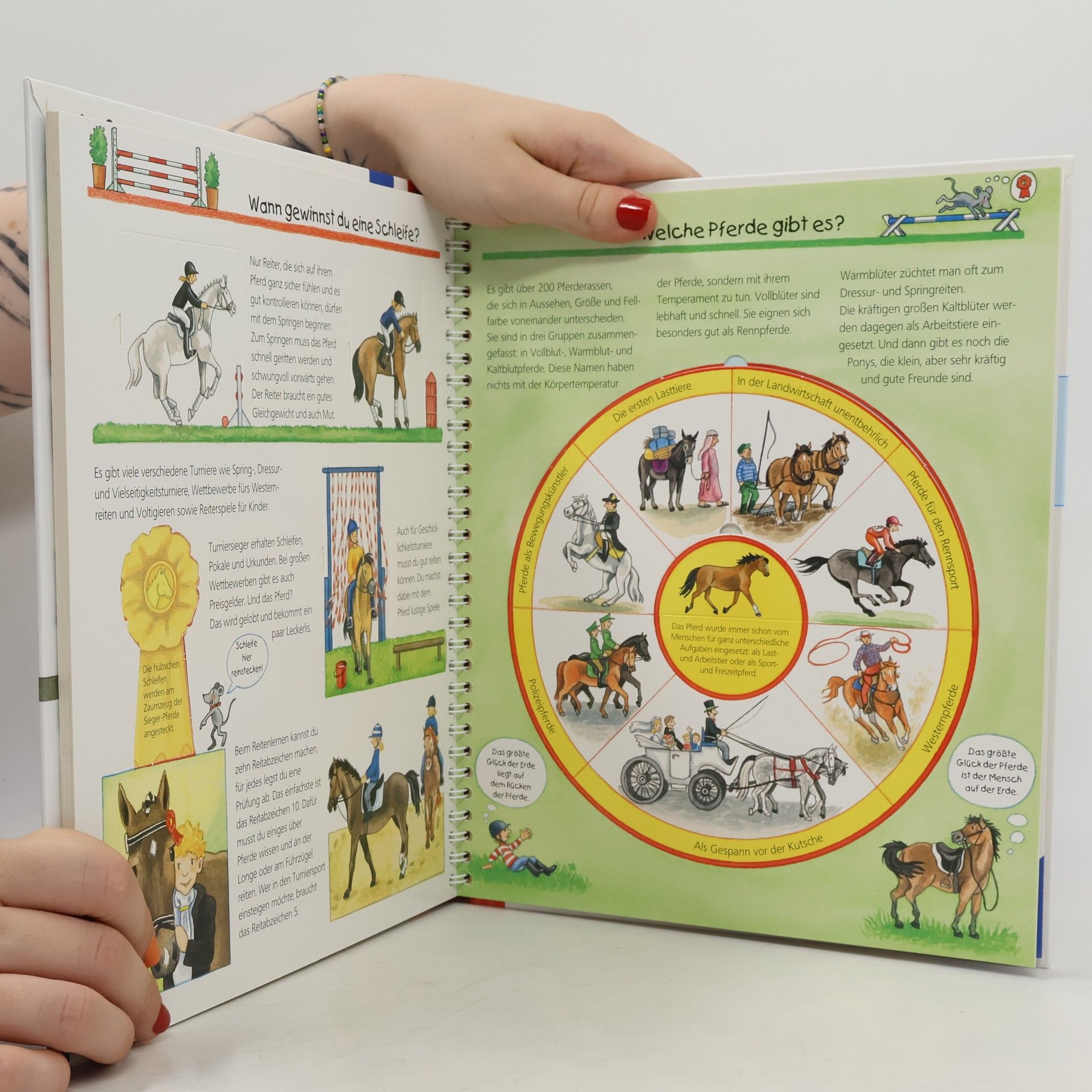Andrea Erne Alles über Pferde und Ponys