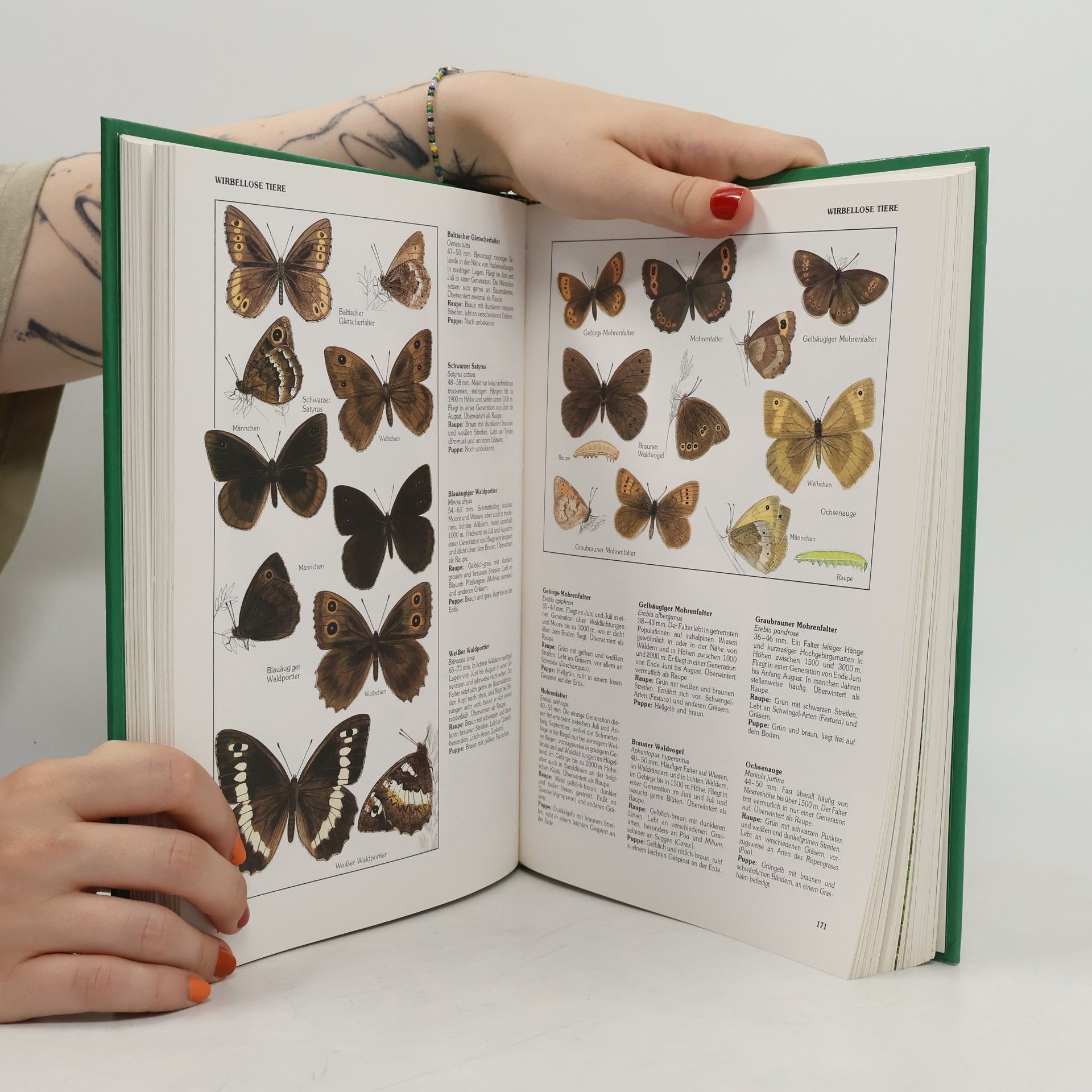 Michael Chinery Das große Kosmos-Handbuch der Natur