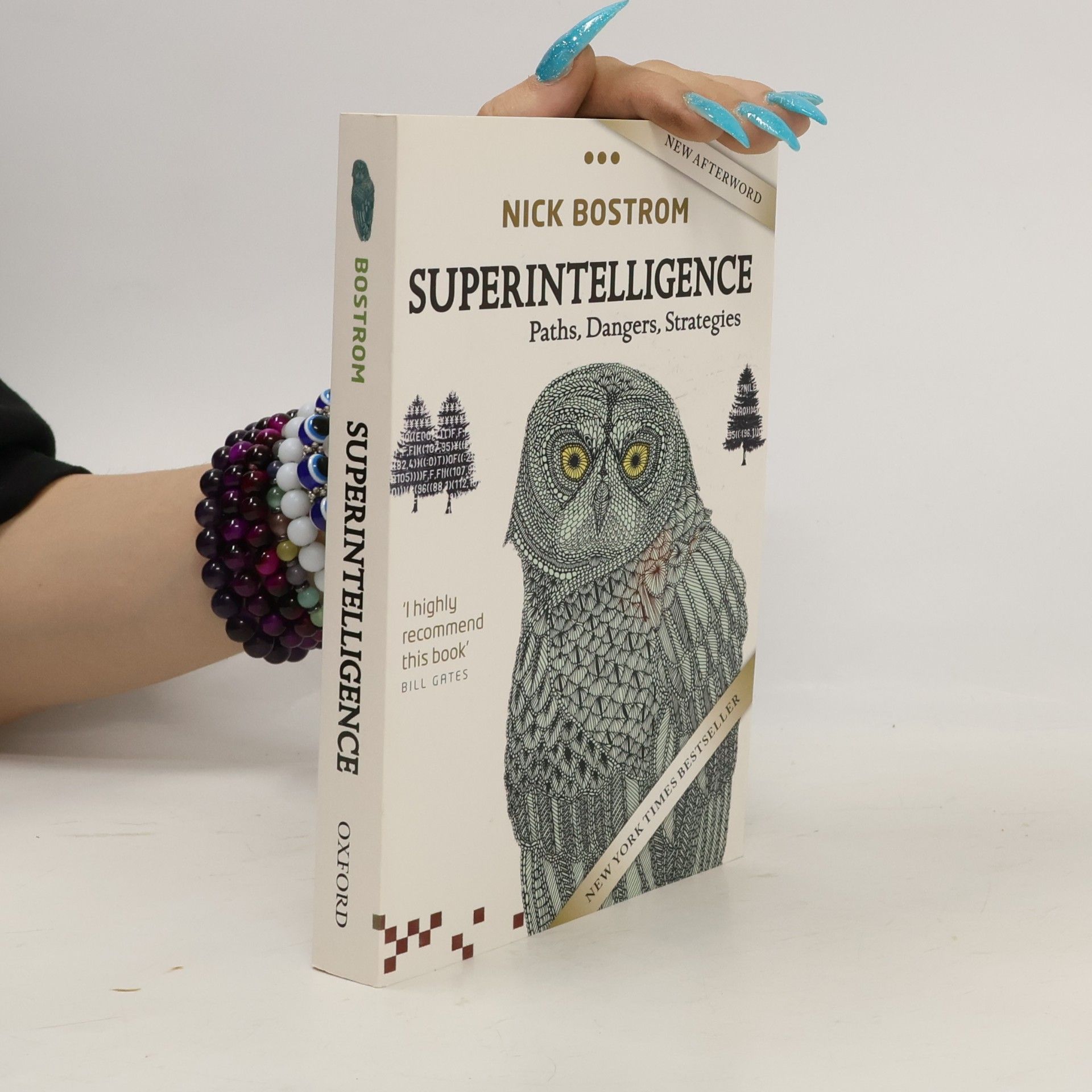 Nick Bostrom Superintelligence