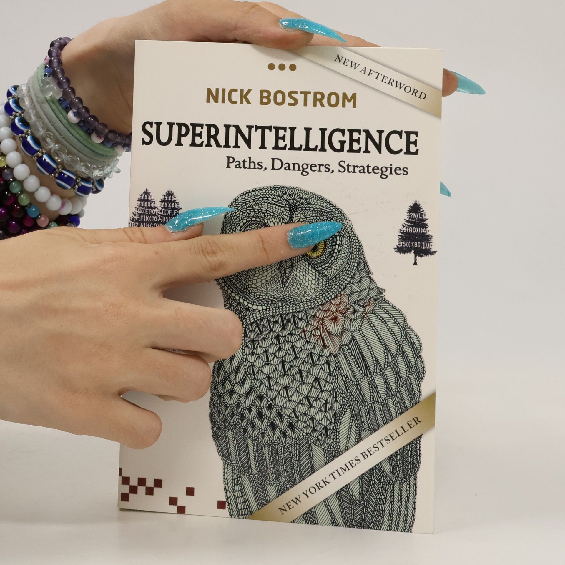 Nick Bostrom Superintelligence