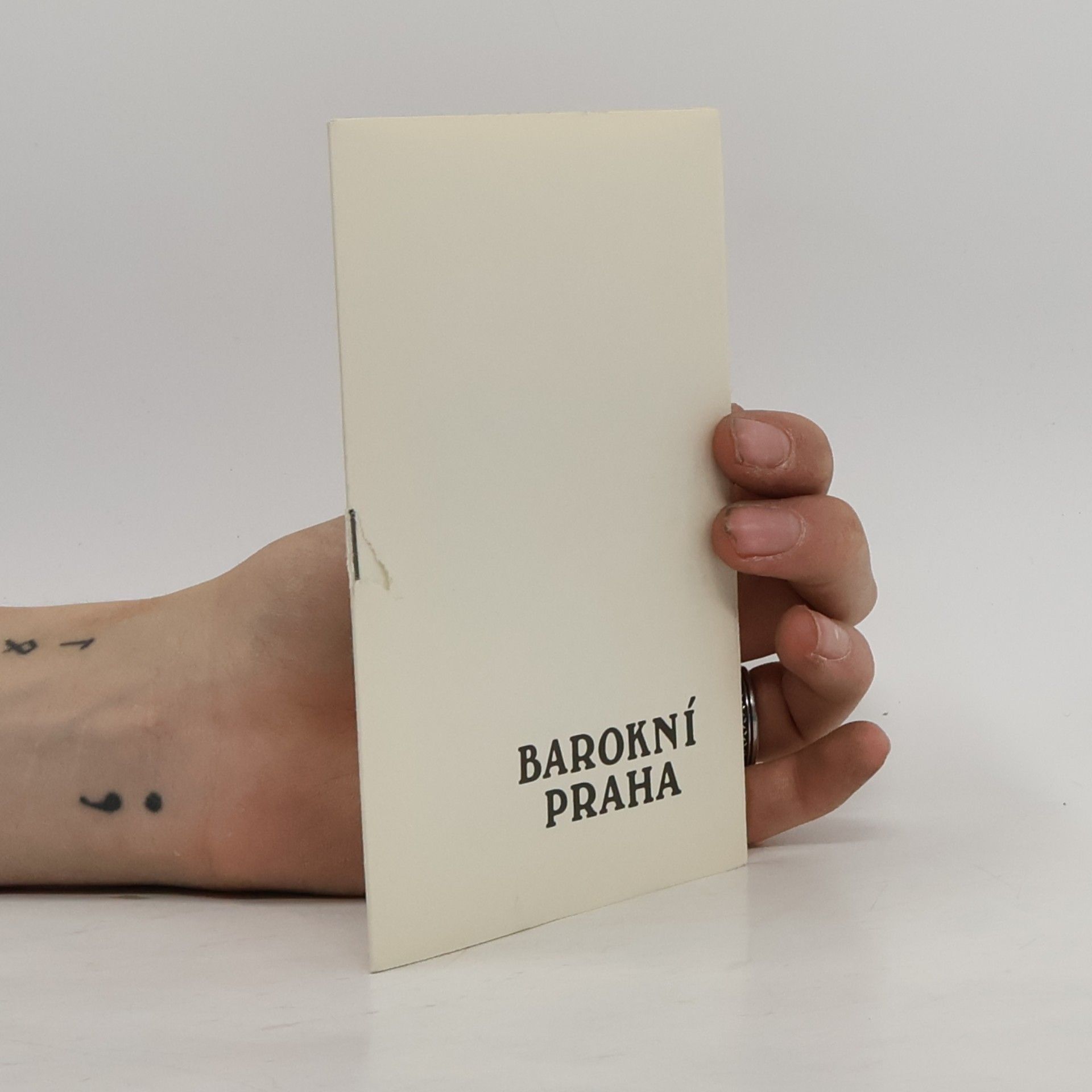 Collectif d'auteurs Barokní Praha
