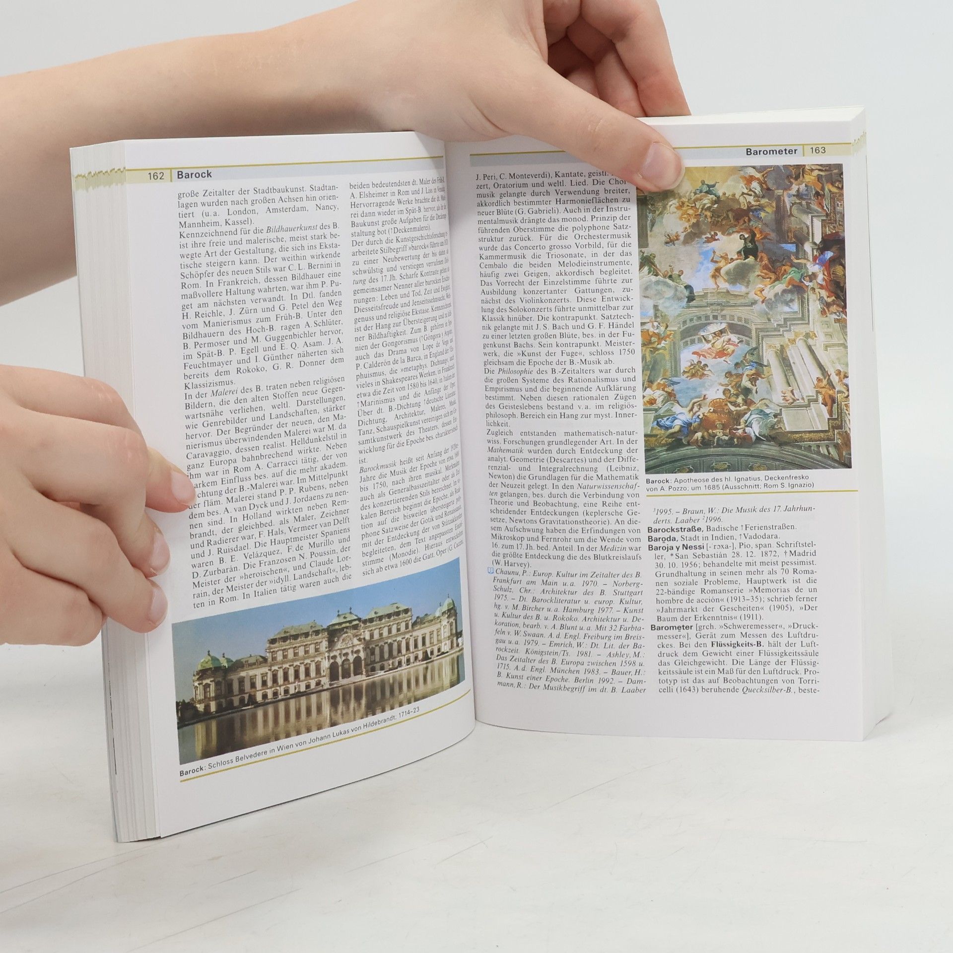 Annette Zwahr Meyers grosses Tachenlexikon : Bd. 2, Assl - Biem