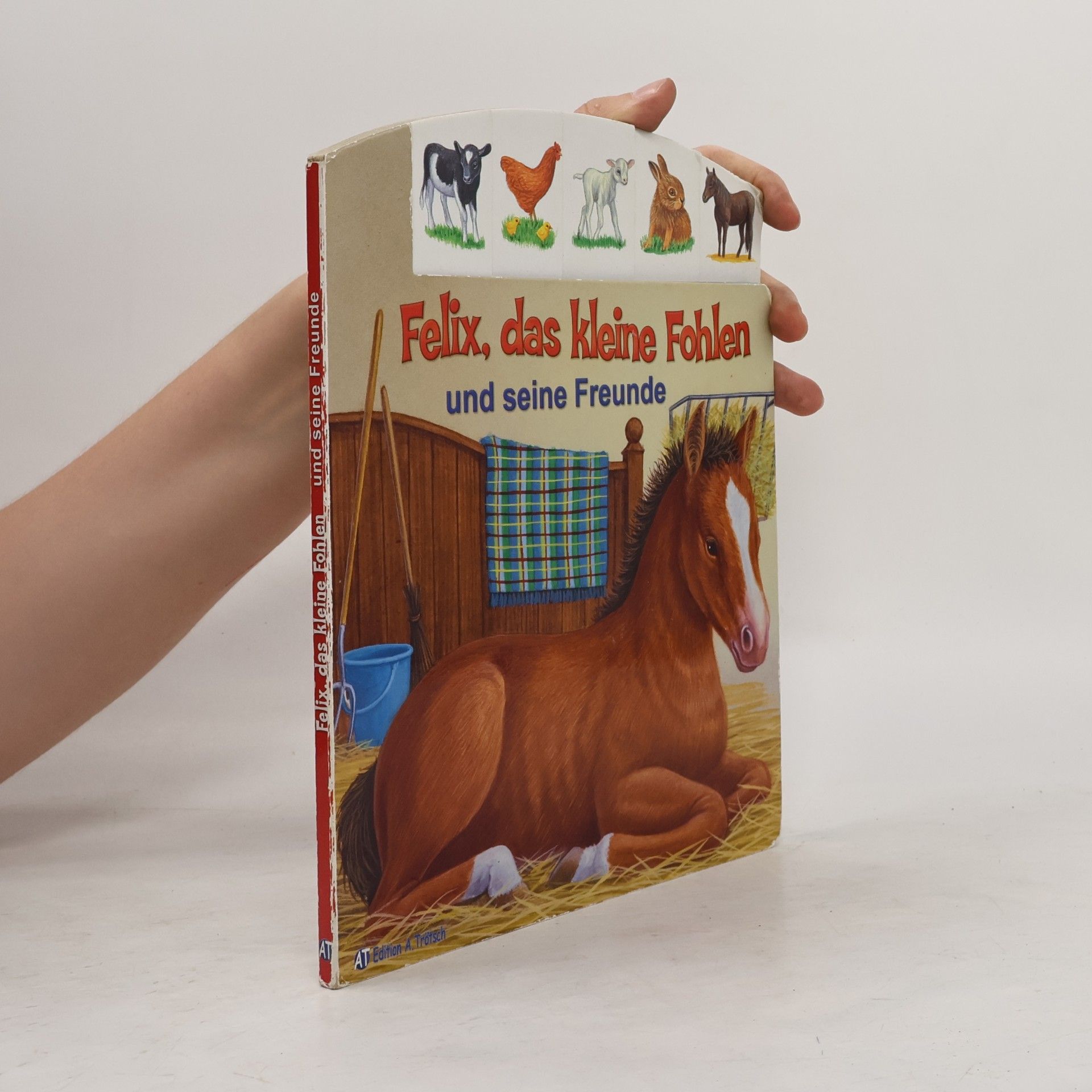 Autorenkollektiv Felix, das kleine Fohlen und seine Freunde