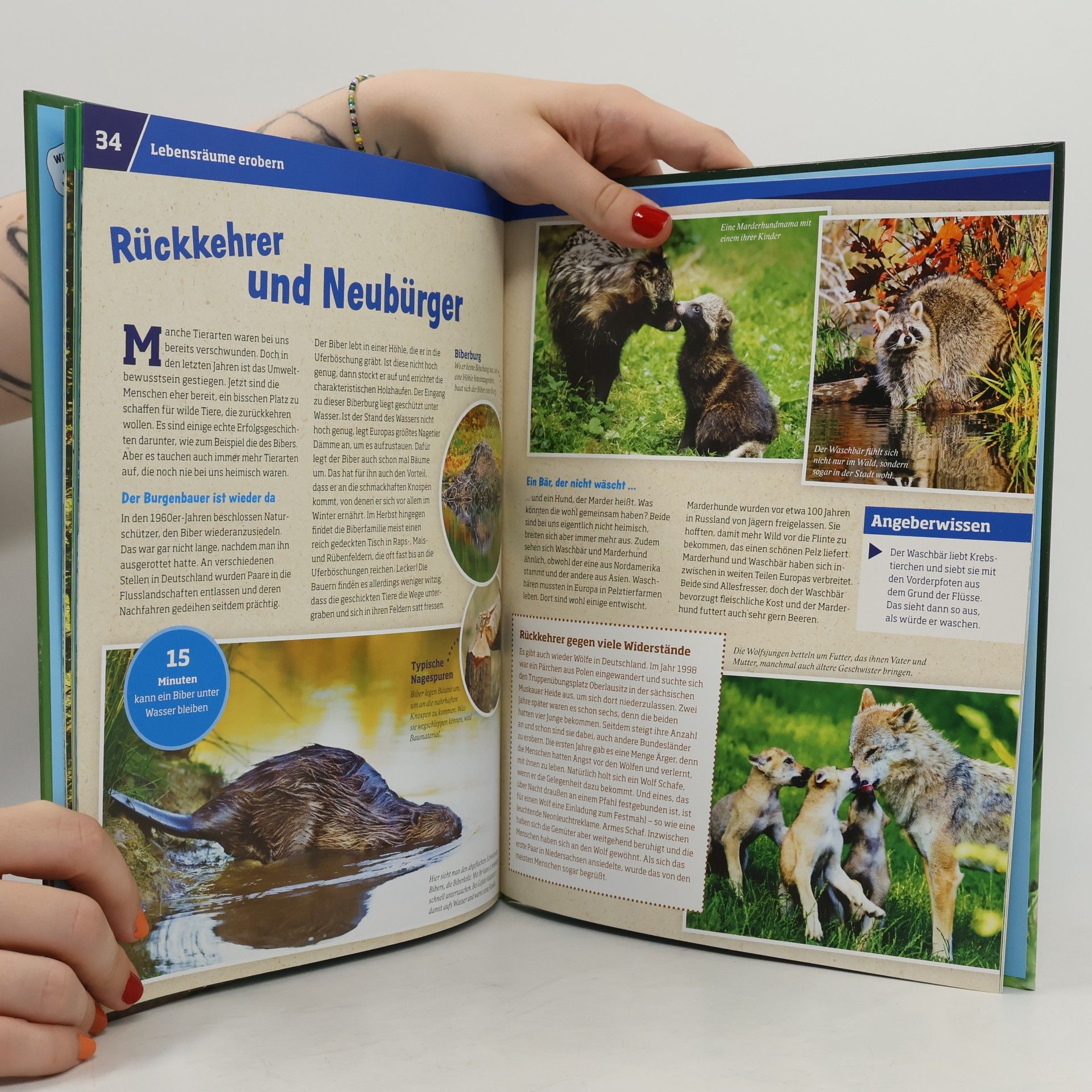 Annette Hackbarth Natur. Erforschen und schützen