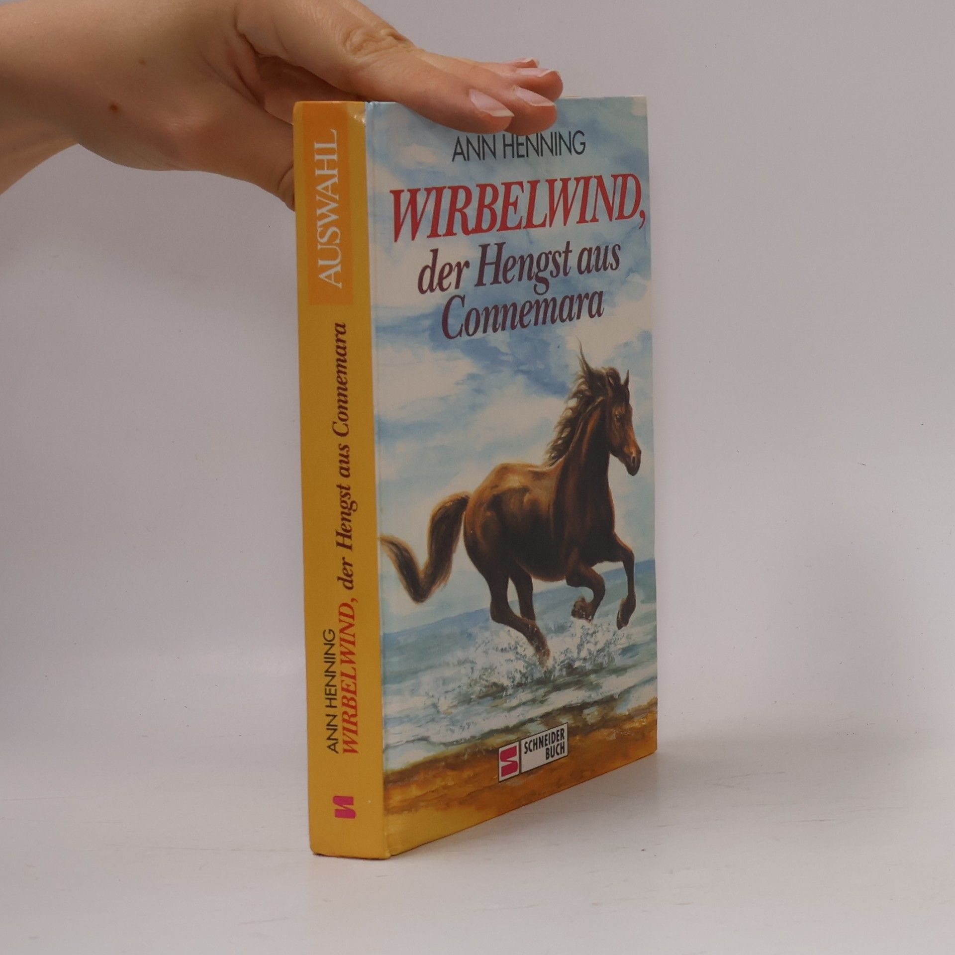 Ann Henning Wirbelwind, der Hengst aus Connemara