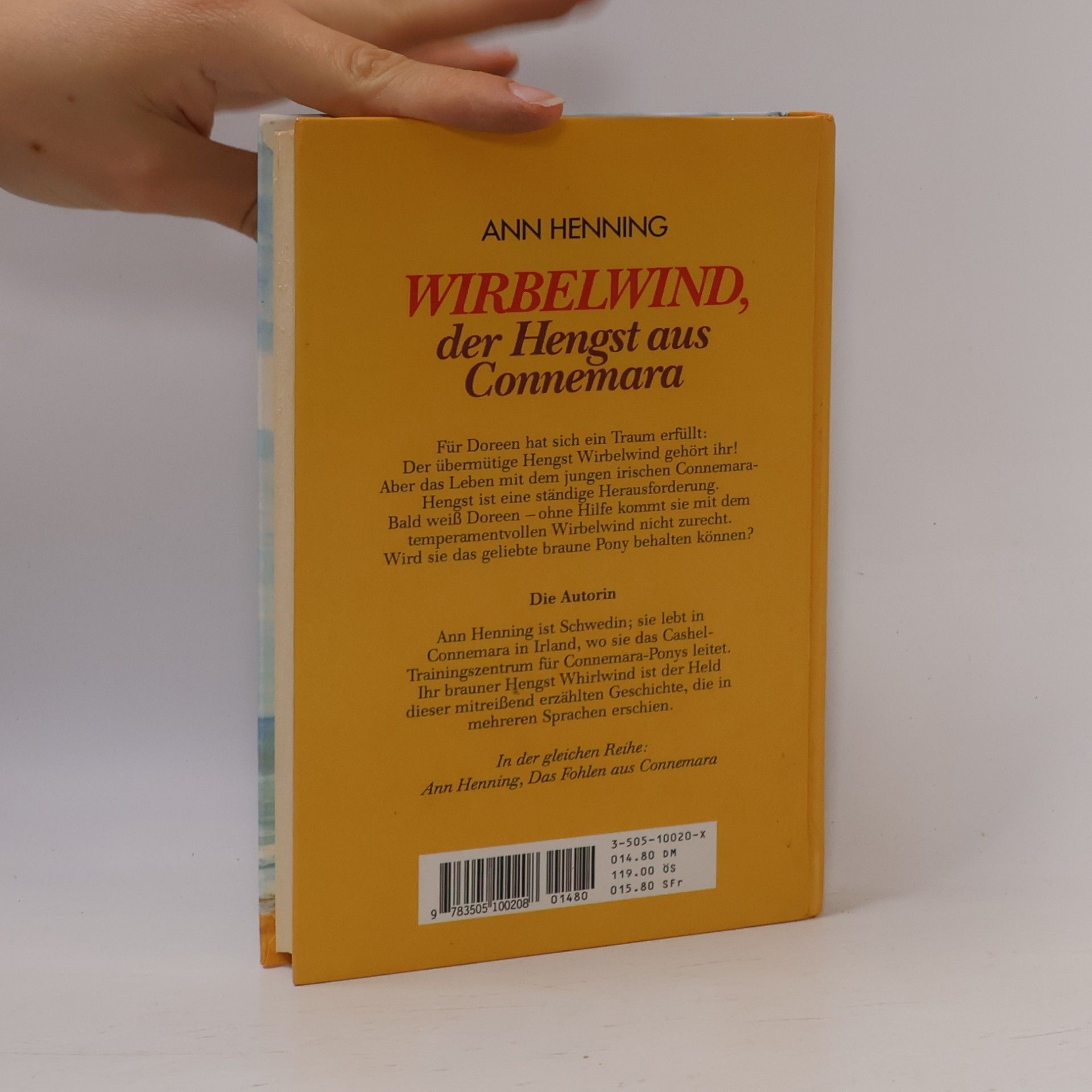 Ann Henning Wirbelwind, der Hengst aus Connemara