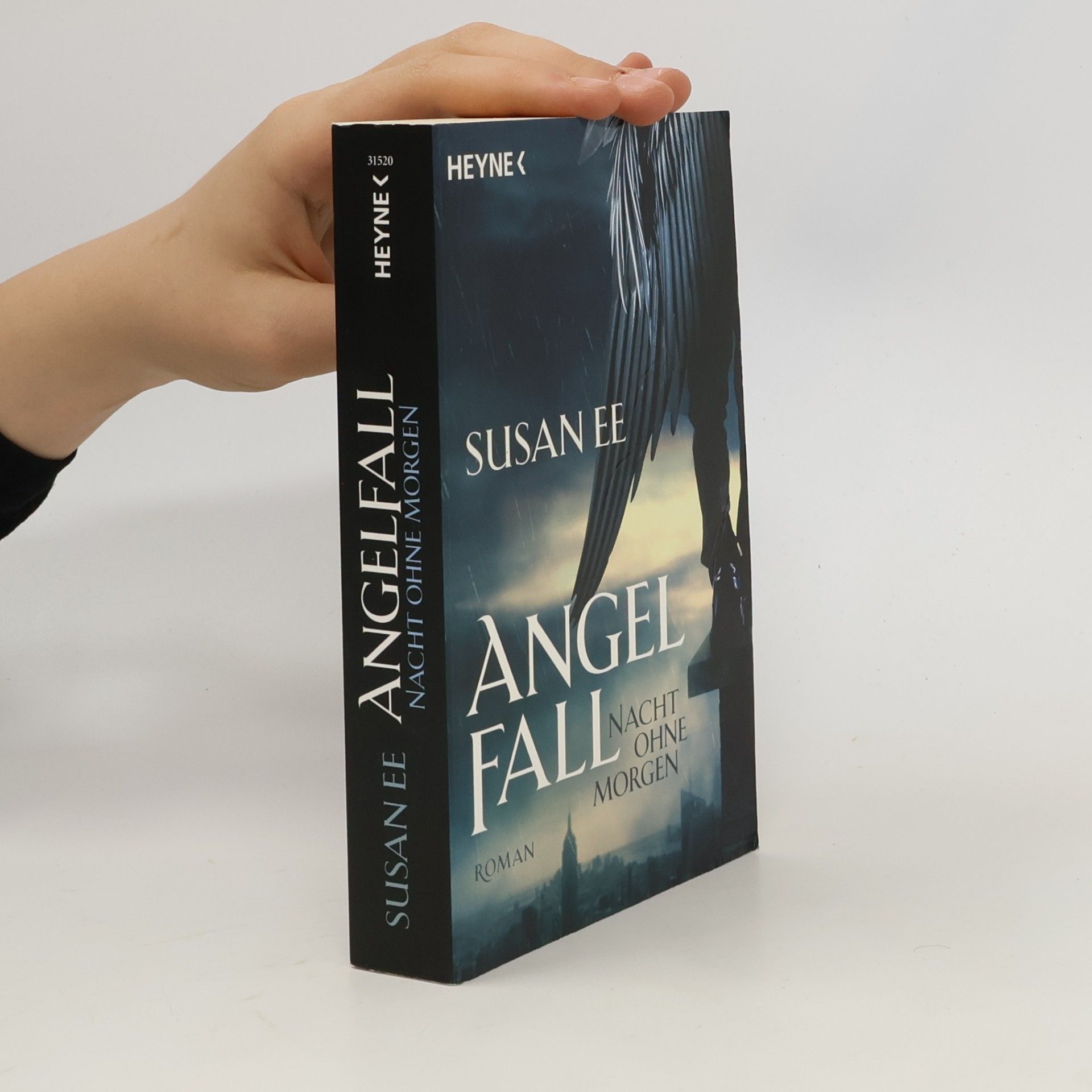 Susan Ee Angelfall - Nacht ohne Morgen