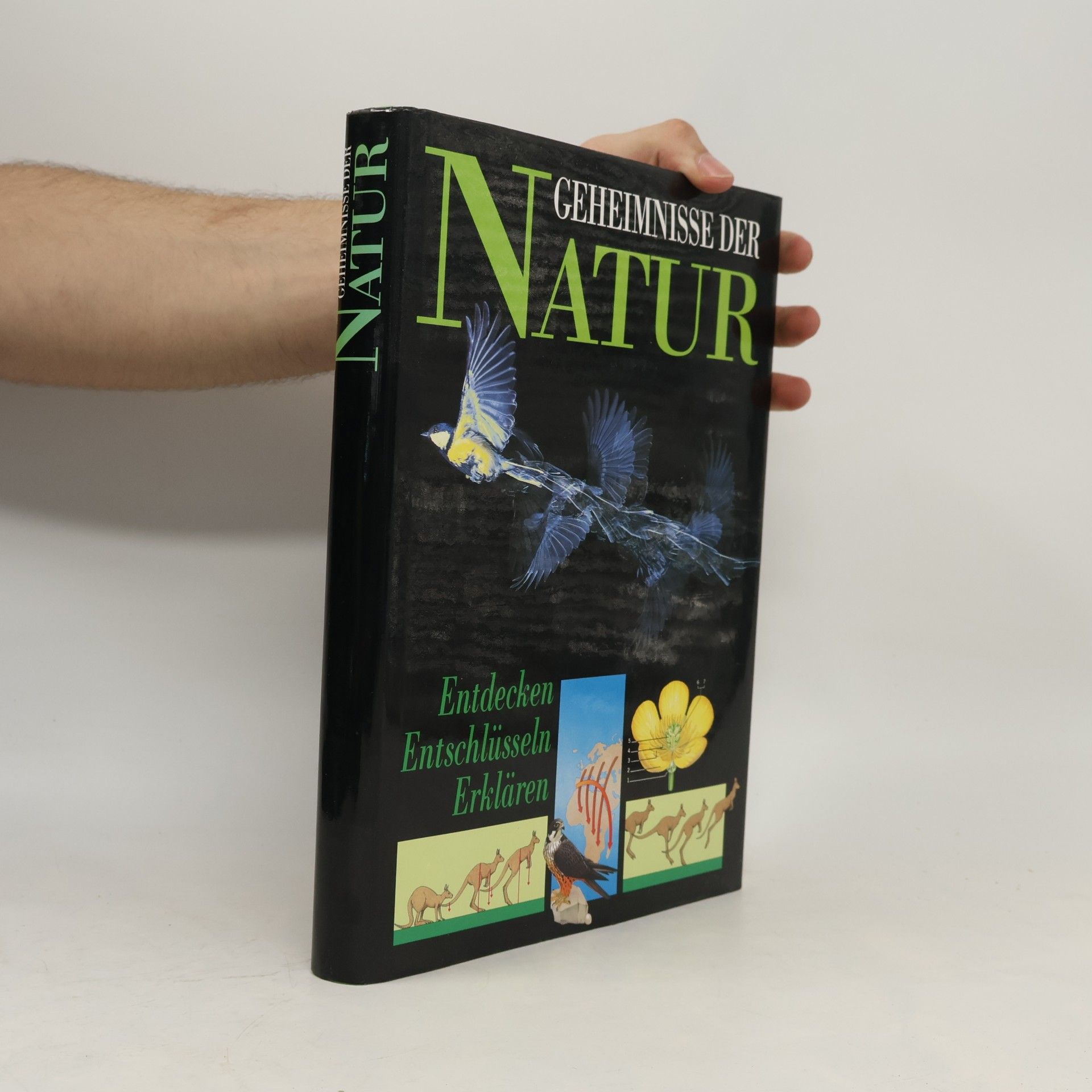 Autorenkollektiv Geheimnisse der Natur