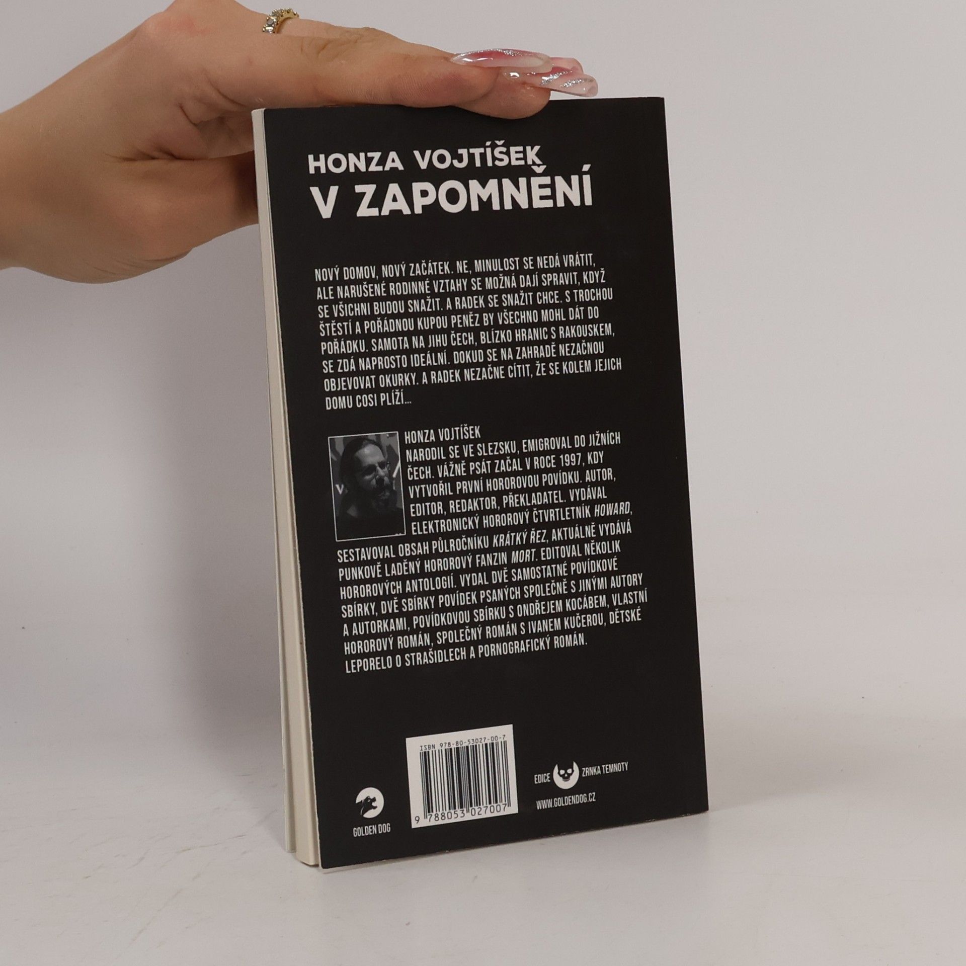 Honza Vojtíšek V zapomnění