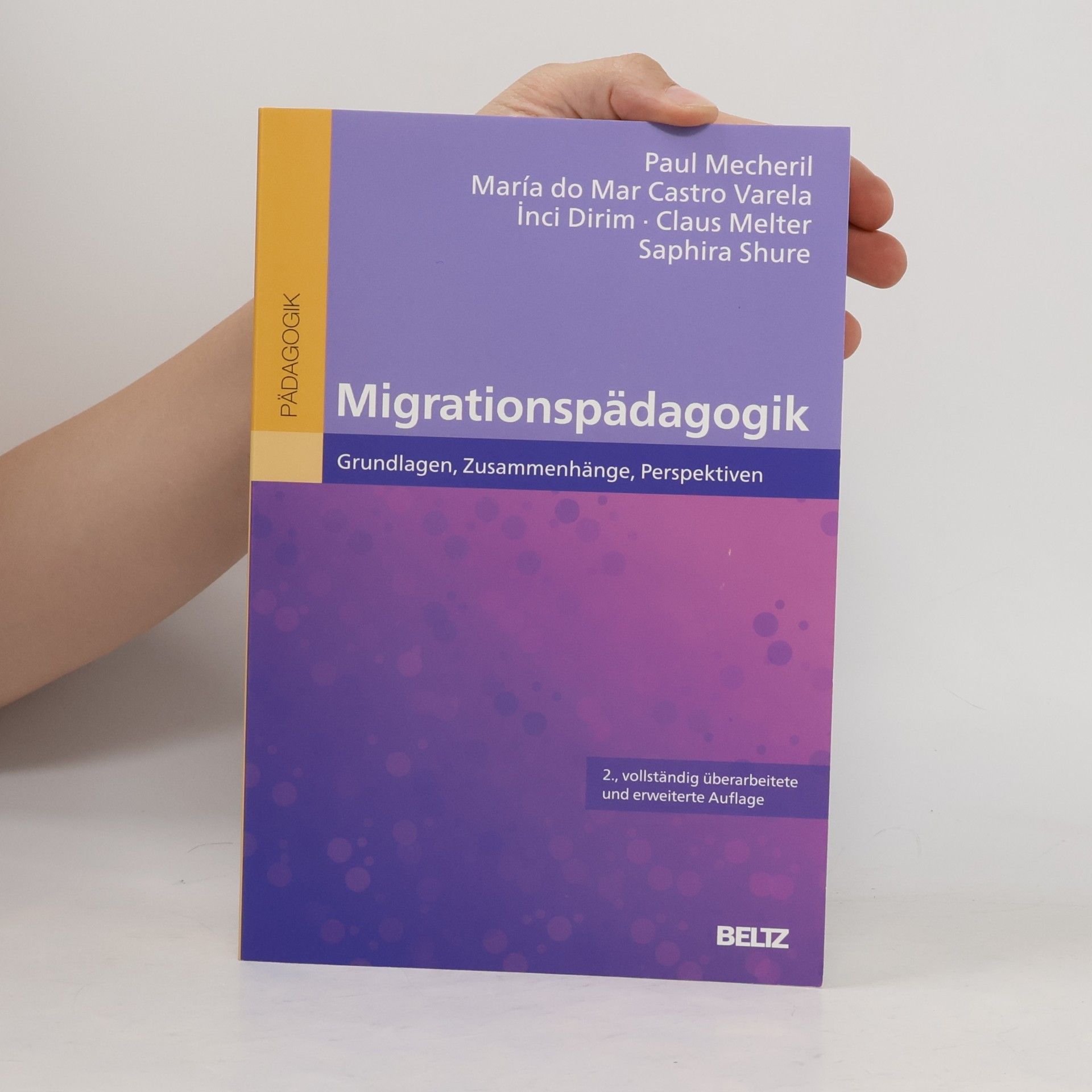 Paul Mecheril Migrationspädagogik