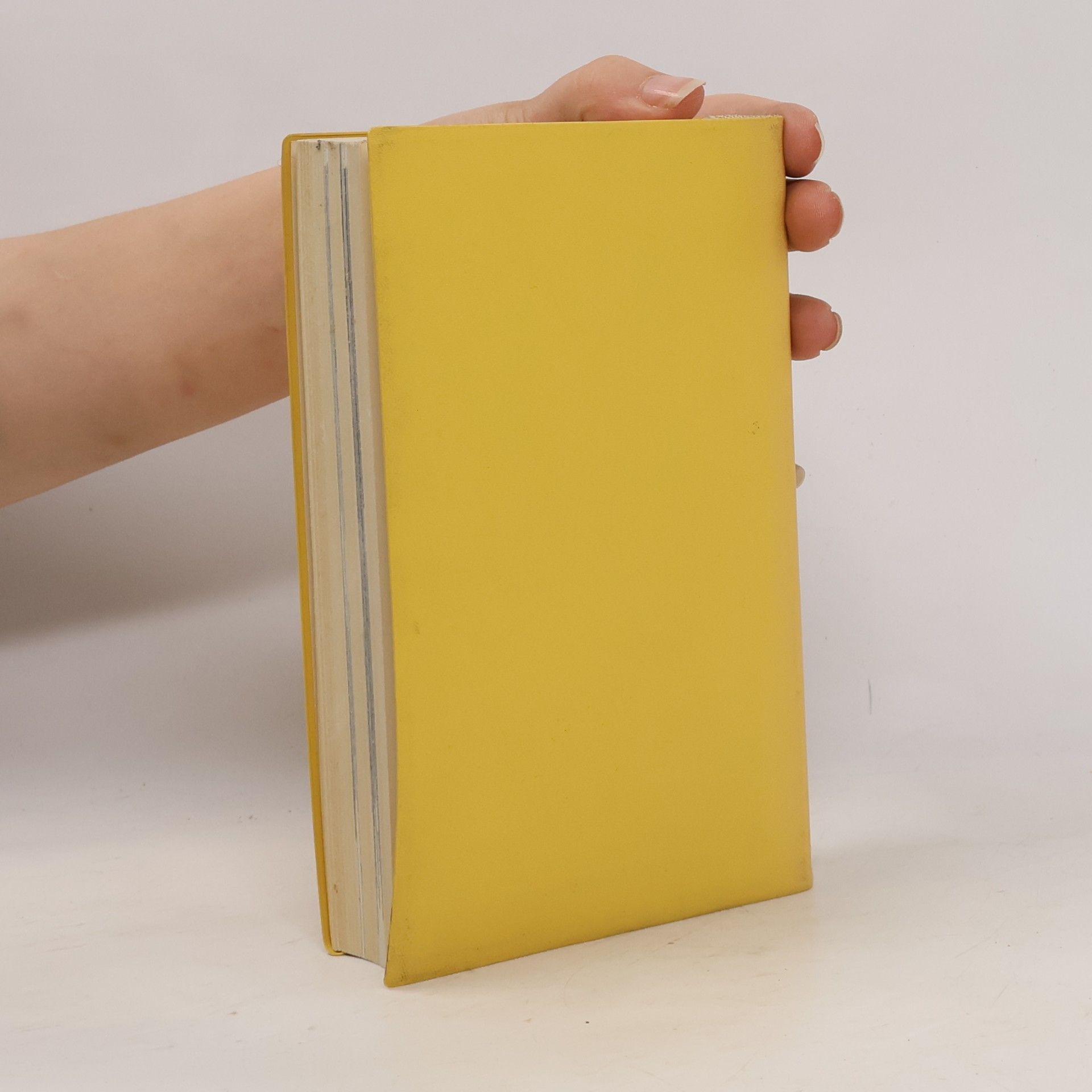 André Chastel Die Kunst Italiens II