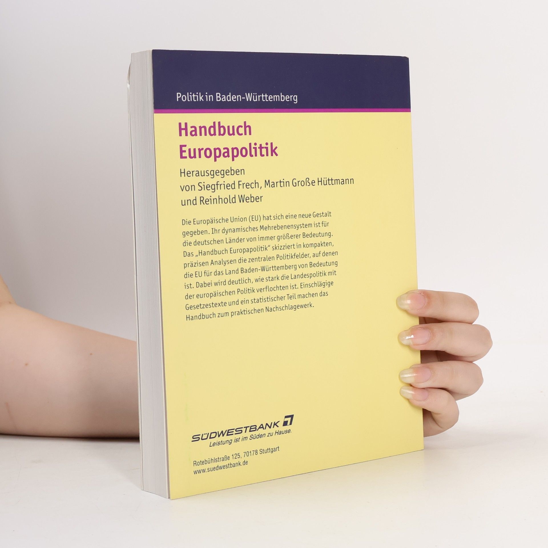 Martin Große Hüttmann Handbuch Europapolitik