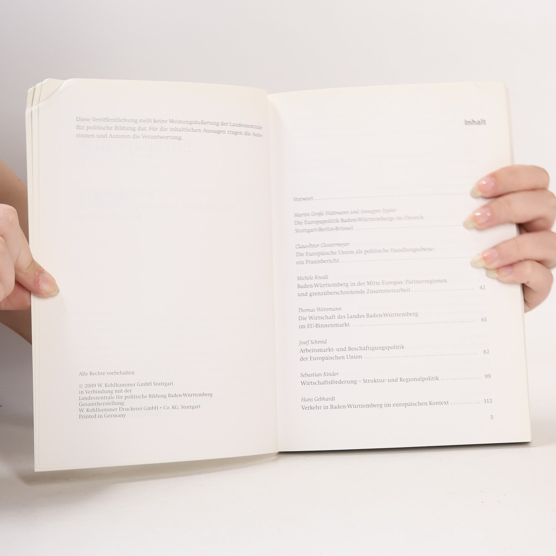 Martin Große Hüttmann Handbuch Europapolitik