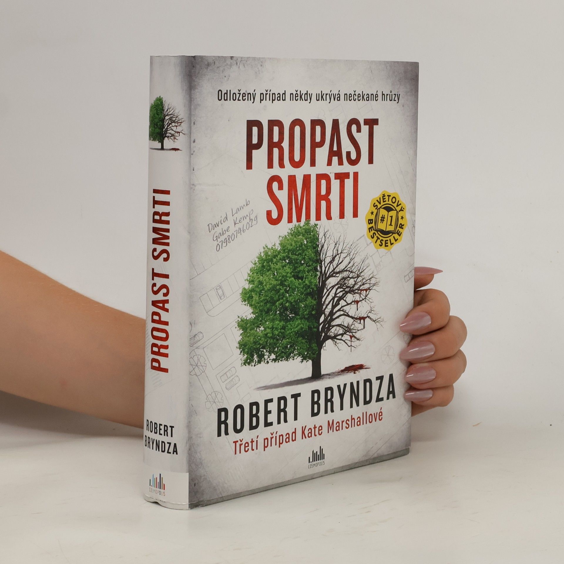 Robert Bryndza Propast smrti