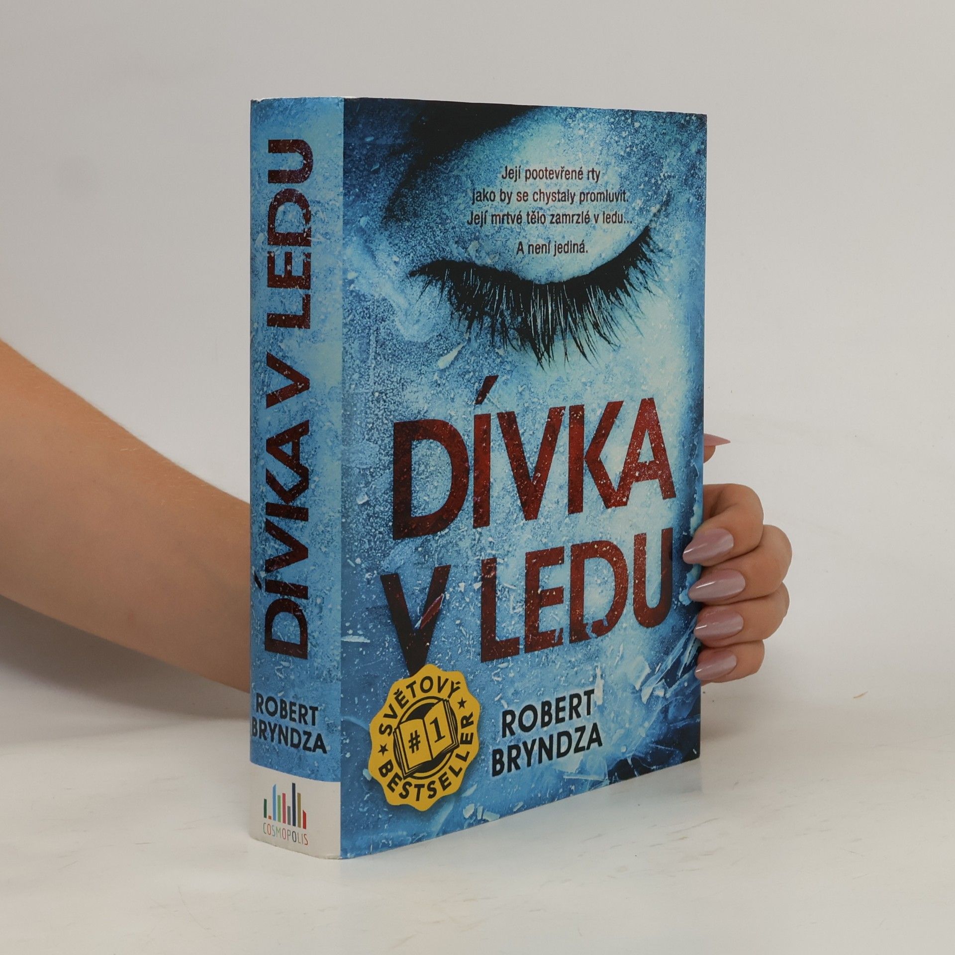 Robert Bryndza Dívka v ledu