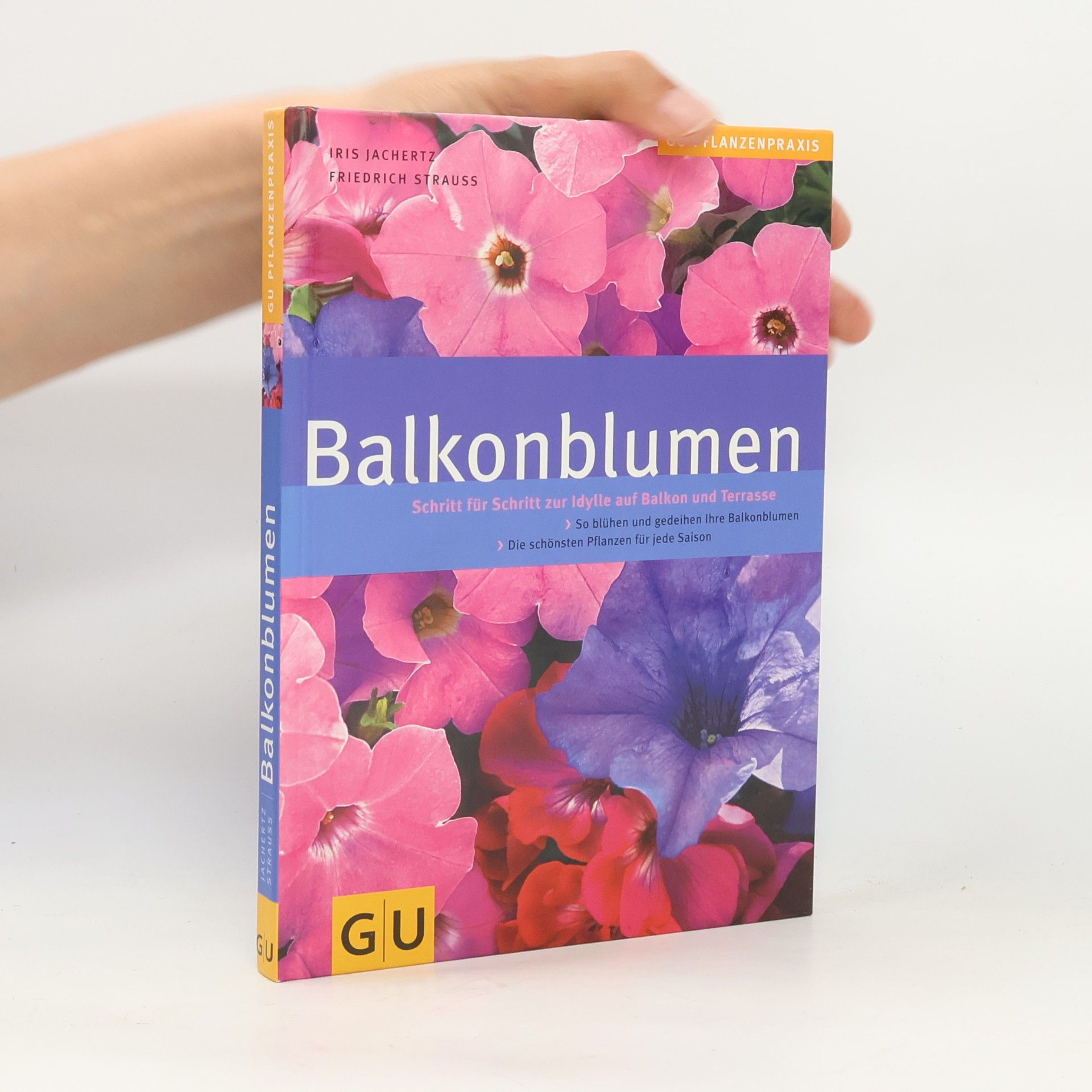 Iris Jachertz Balkonblumen