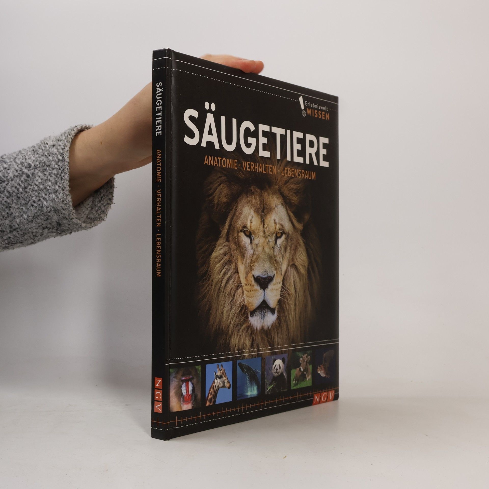 Various authors Säugetiere. Anatomie, Verhalten, Lebensraum